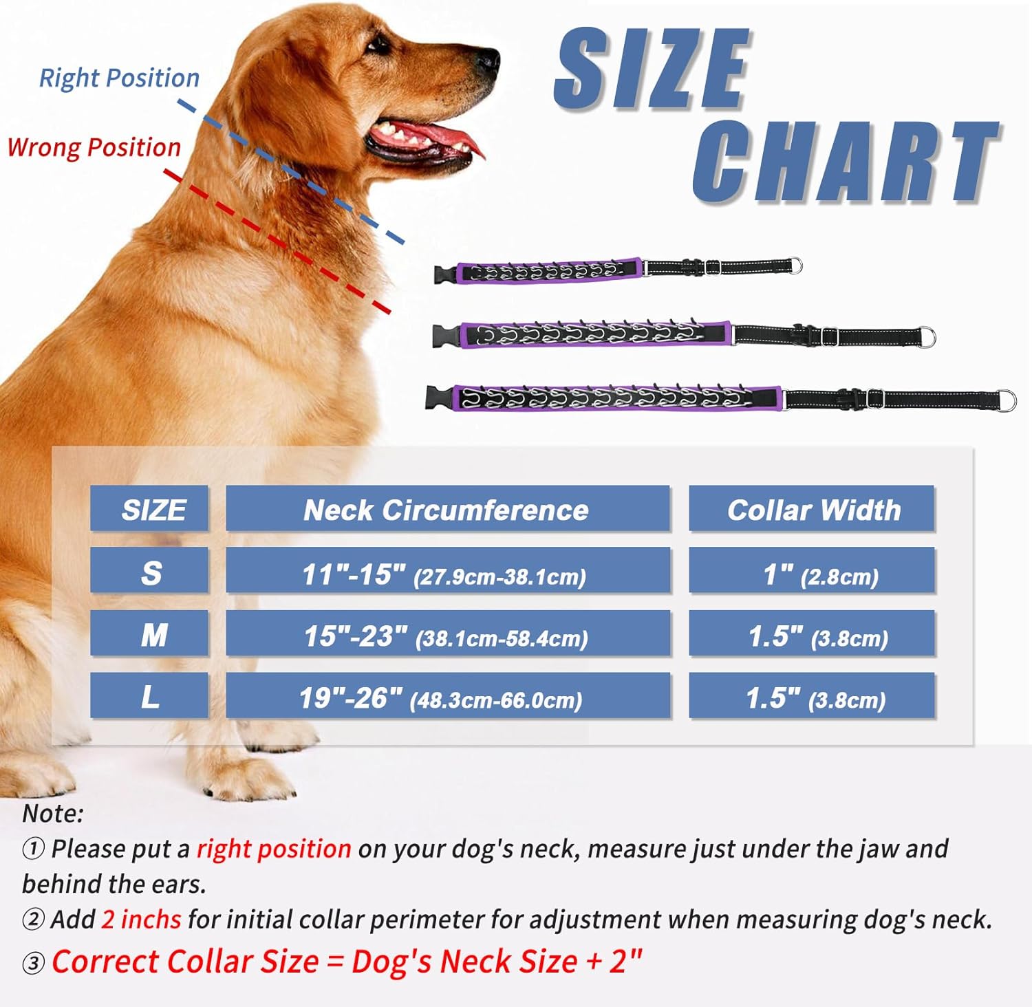 Strong Reflective Heavy Duty Dog Collar and Leash 6ft for Large Medium Small Dogs Purple S