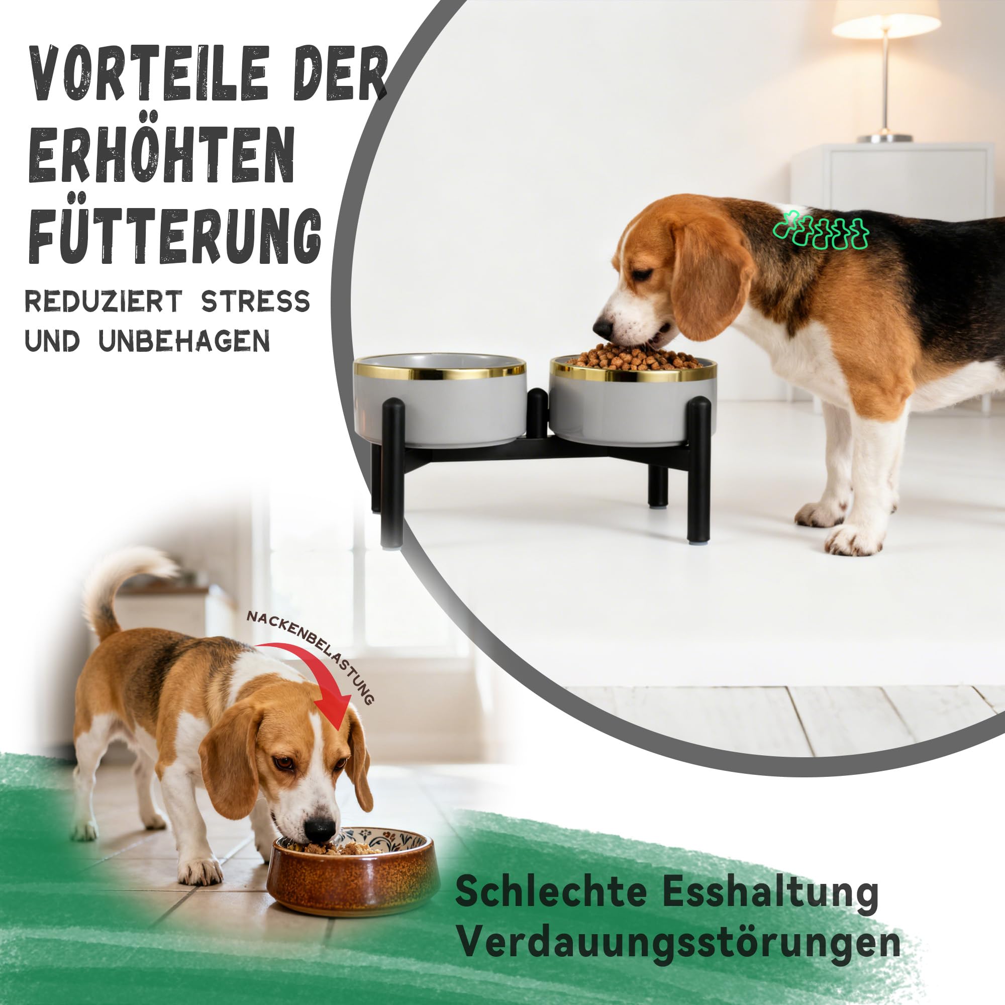 Keramik Hundenapf Erhöht mit Edelstahl-Ständer - Doppelnapf Futterstation für Kleine und Mittelgroße Hunde - rutschfest Hund Napf Set für Futter und Wasser - 350g / 660ml - 15cm - Gruen