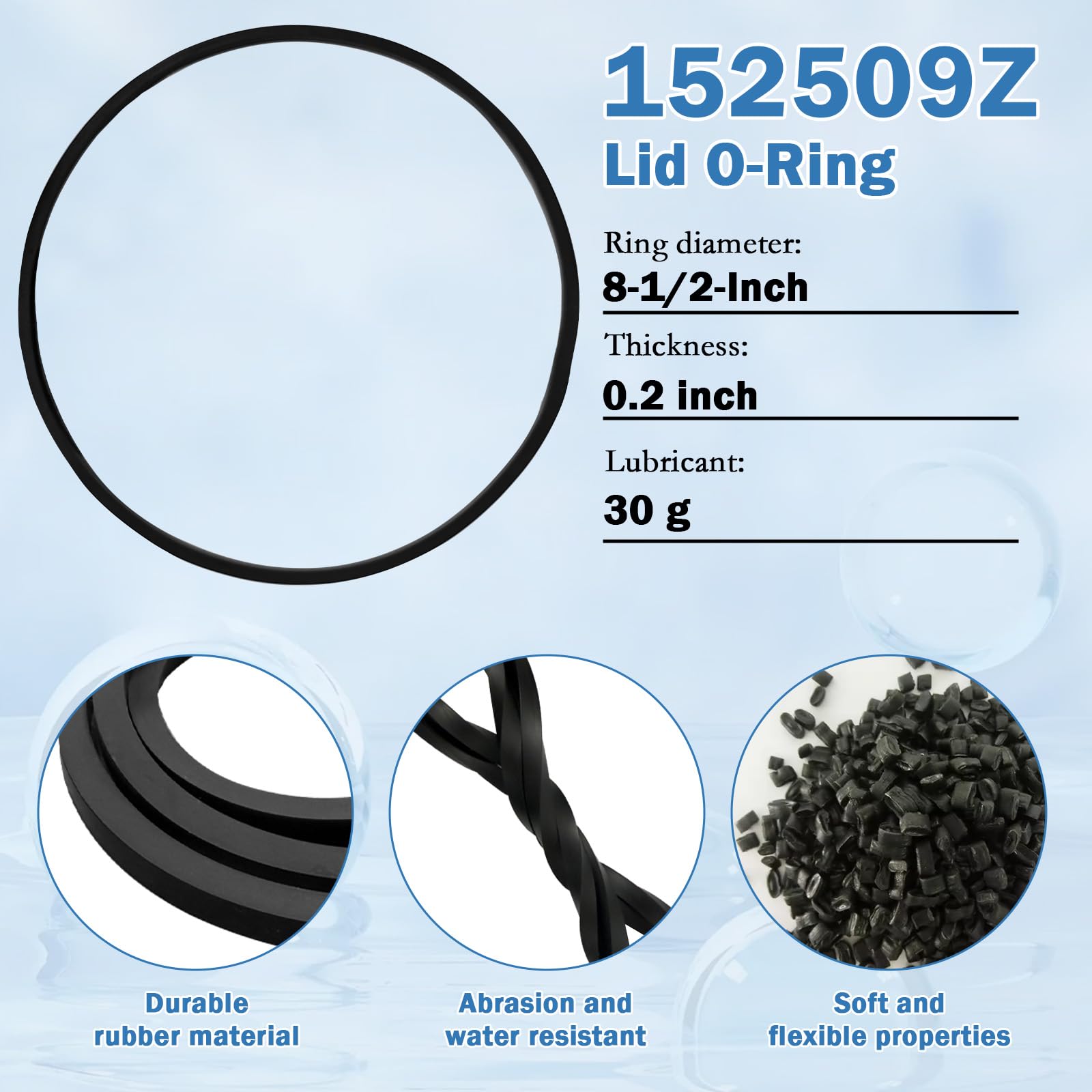 Amazon.com: 152509Z Lid O-Ring Compatible with Pentair 152509 8-1