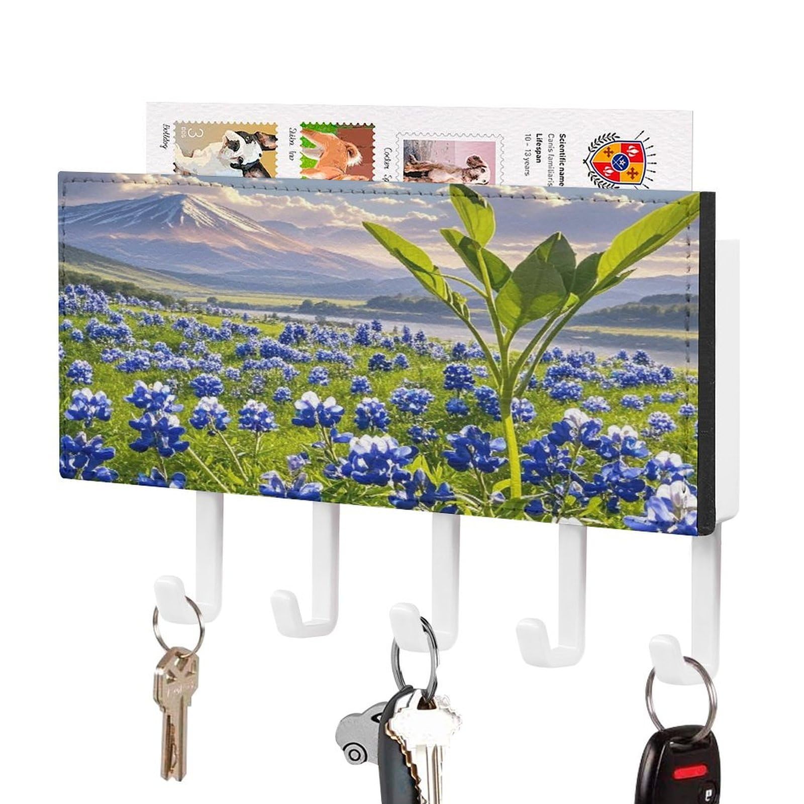 Vstadank White-Style Bluebonnets Scenery Key Holder Wall Mount Pu Key Rack Decorative Key And Mail Holder Wall Key Organizer With 5 Key Hooks Key Hanger For Entryway Kitchen Living Room Office Doorway Decor White