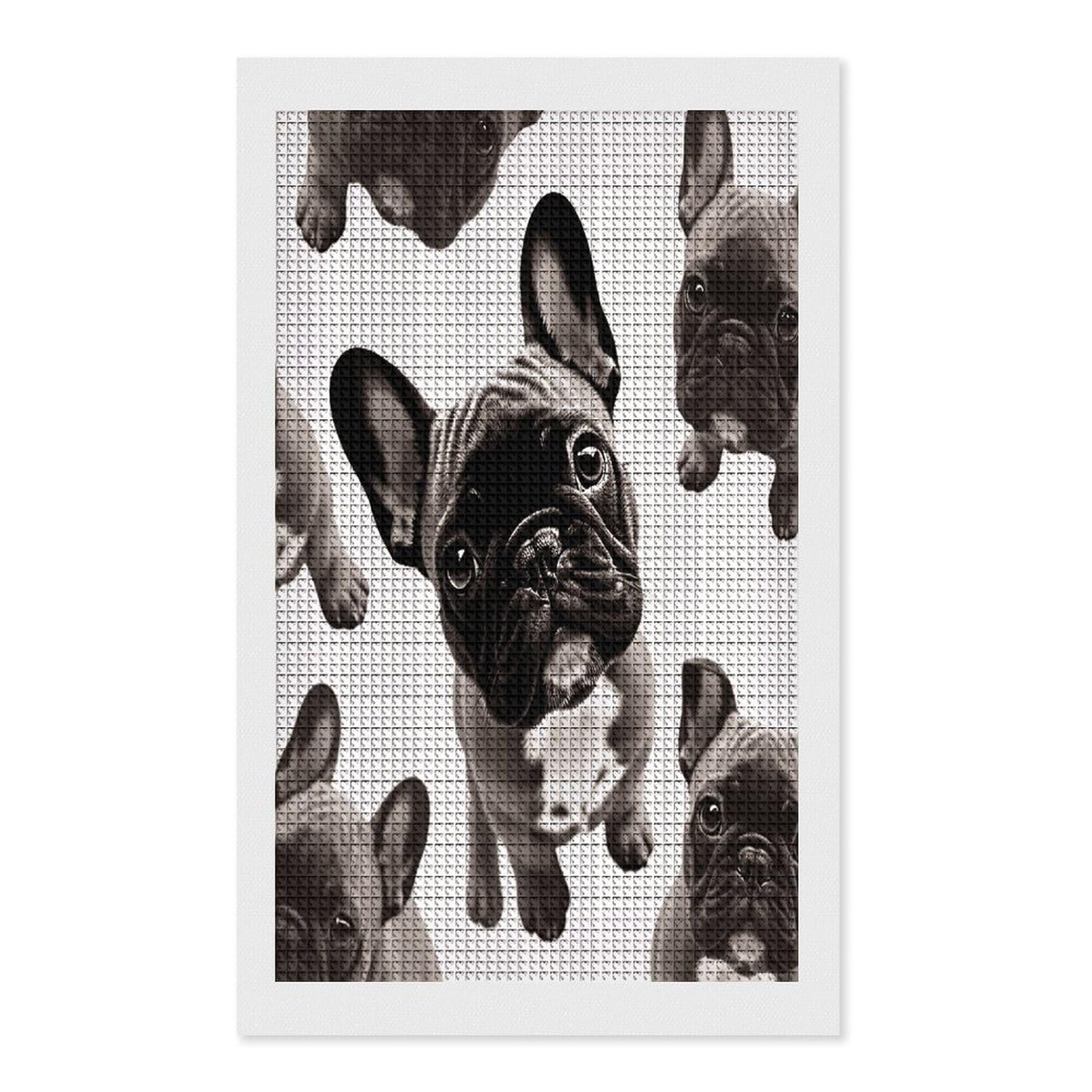 FodPand French Bulldog Diamond Painting Kit for Beginner Fun 5D DIY Crafts for Adults Diamond Art Kits Square Diamond Art Canvas Painting Gem Art Crafts for Home Wall Decor 12"x20"
