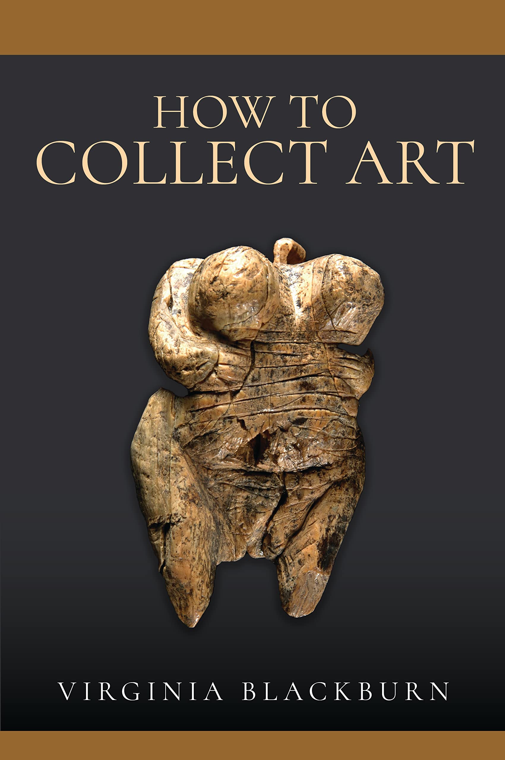 How to Collect Art by Virginia Blackburn - 9781399096966