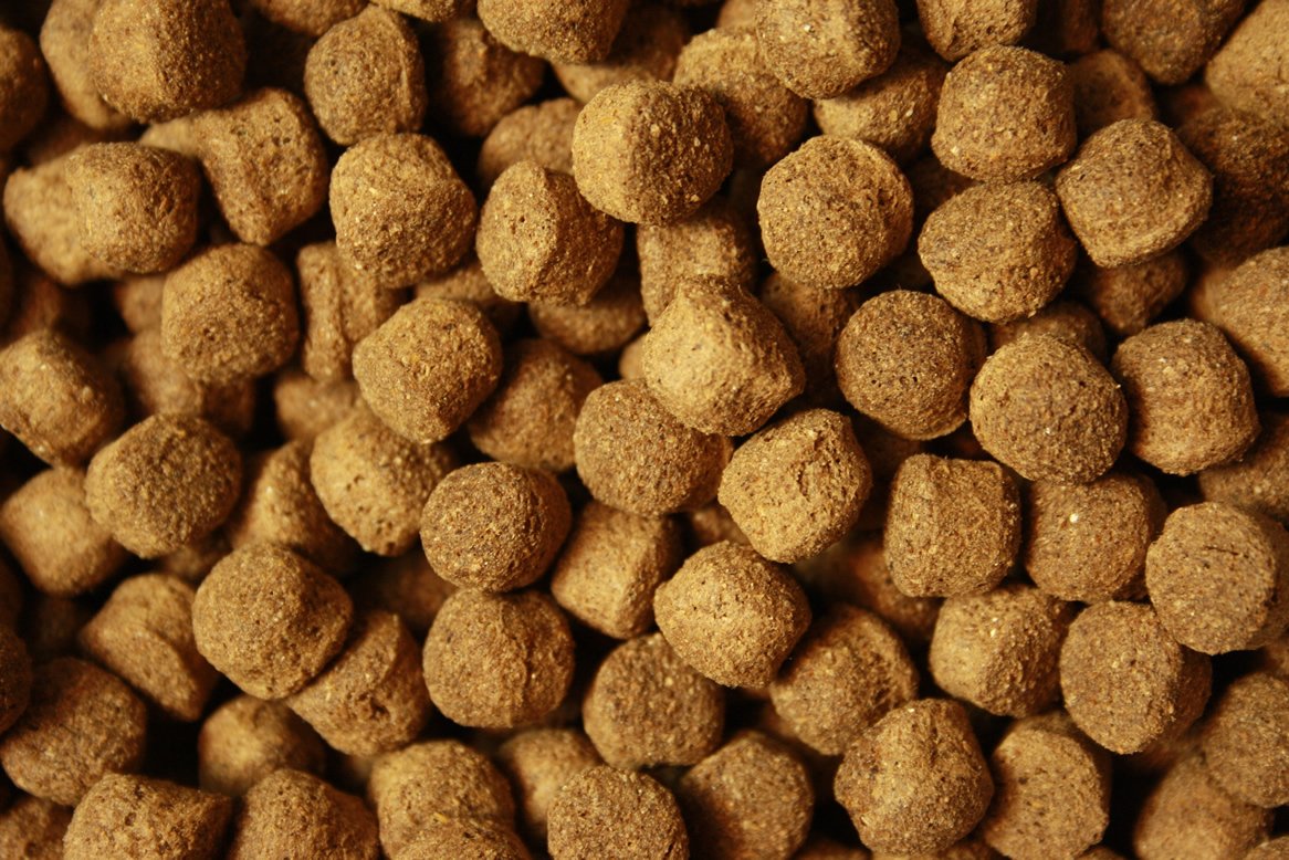 Koifutter Schwimmfutter 8mm Koi Pellets Ganzjahresfutter für große Koi Jumbo Koi leicht verdauliches Koi-Fischfutter arktische Rohstoffe Tomodachi Koi-Schwimmfutter 8mm 15kg