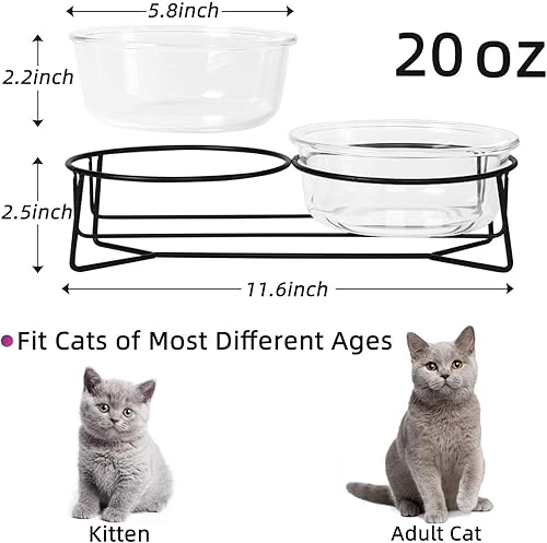 Miniatura 3 de Cuencos elevados de vidrio doble para gatos o perros pequeños con soporte de metal para alimentos y platos de agua para mascotas, 20 onzas