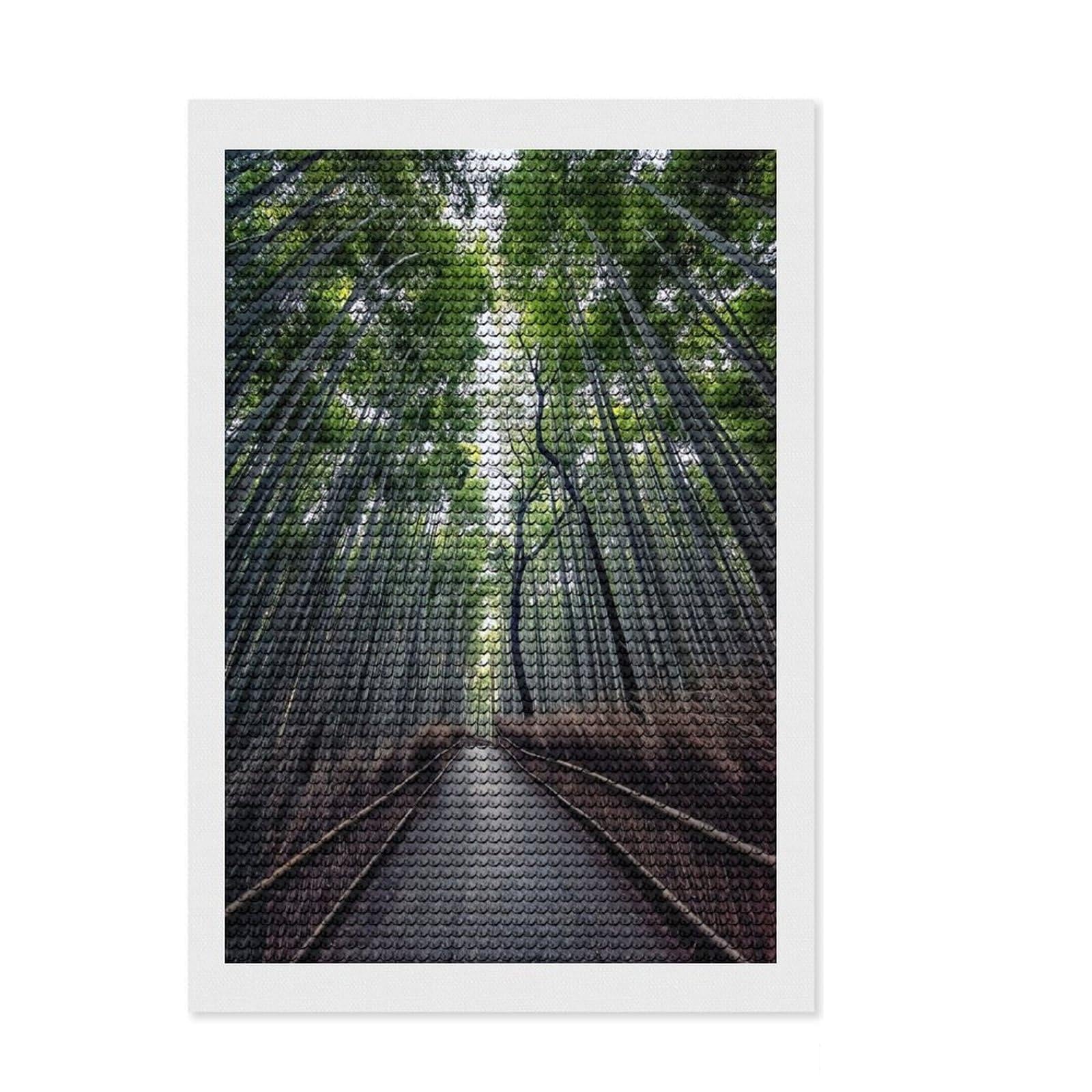 Junmoney Path in The Bamboo Diamond Art Canvas 8"x12", for Teens, Modern Decor, Easy to Enjoy, Holiday Gift Idea, Pleasing Wall Art Project