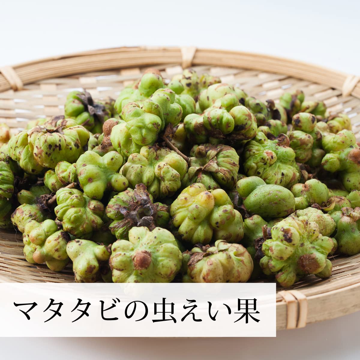 Amazon.co.jp: 自然健康社 またたびの実 1kg×2個 乾燥 マタタビの実 虫