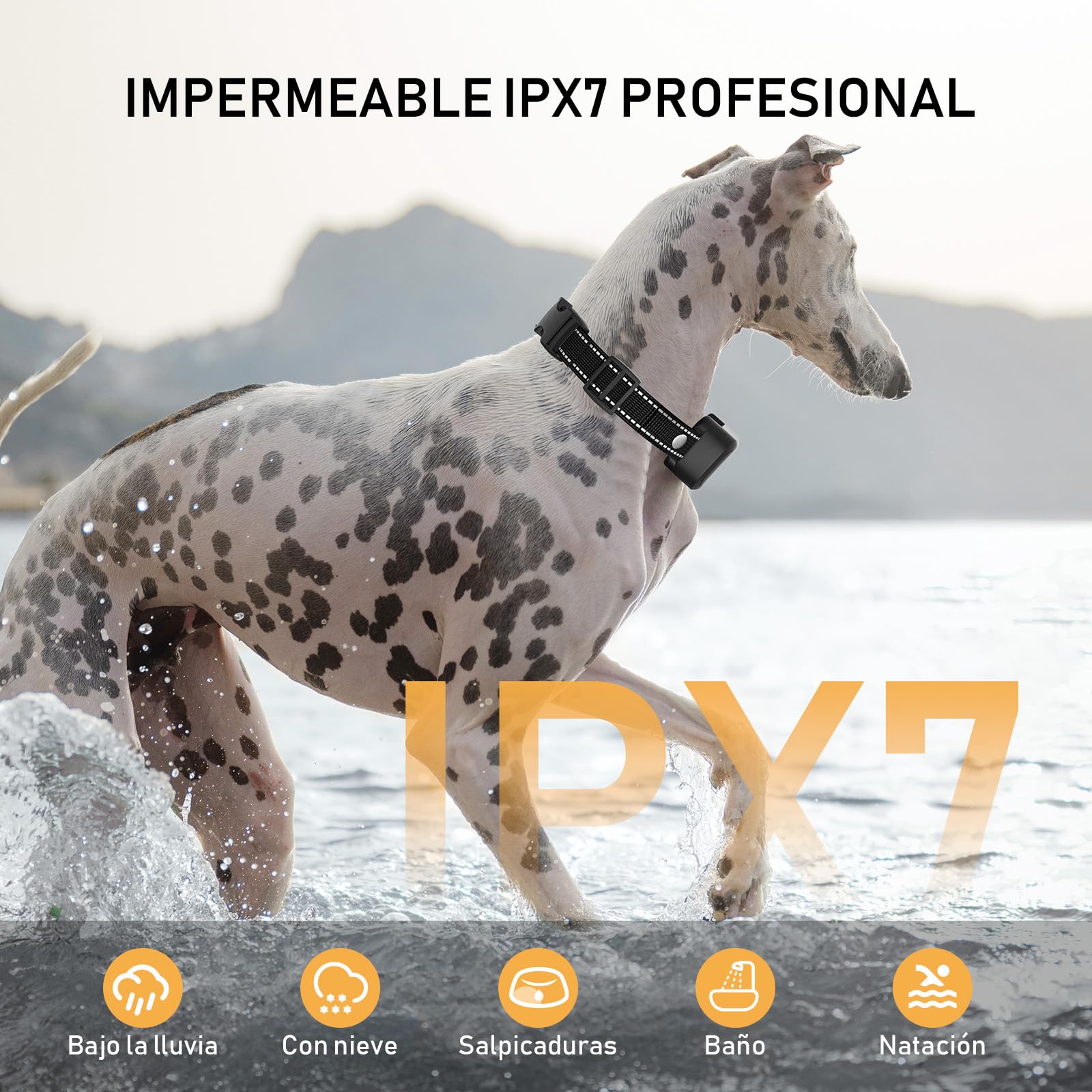 Collar Antiladridos para Perros, Antiladridos y Antiaullidos para Perros, Ultrasonido/Pitido/Vibración, Impermeable IPX7, Dispositivo Recargable para Detener — view 2