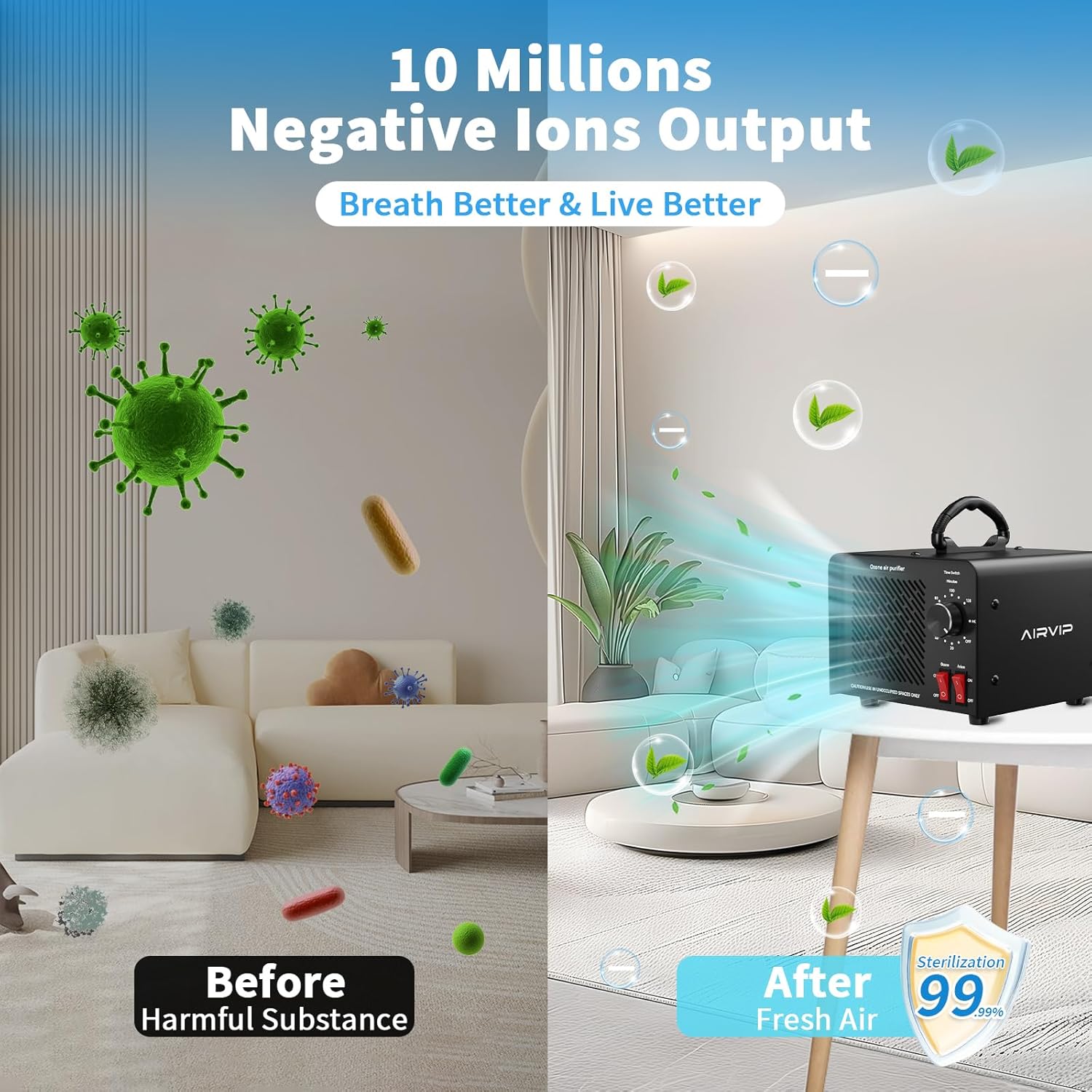 Basement & Pet Odor Removal