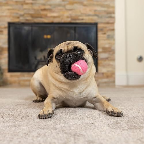 Miniatura 6 de Hyper Pet MINI - Pelotas de tenis para perros, (paquete de 4  rosa de 2.5 pulgadas) para cachorros  perros pequeños para buscar y hacer ejercicio,