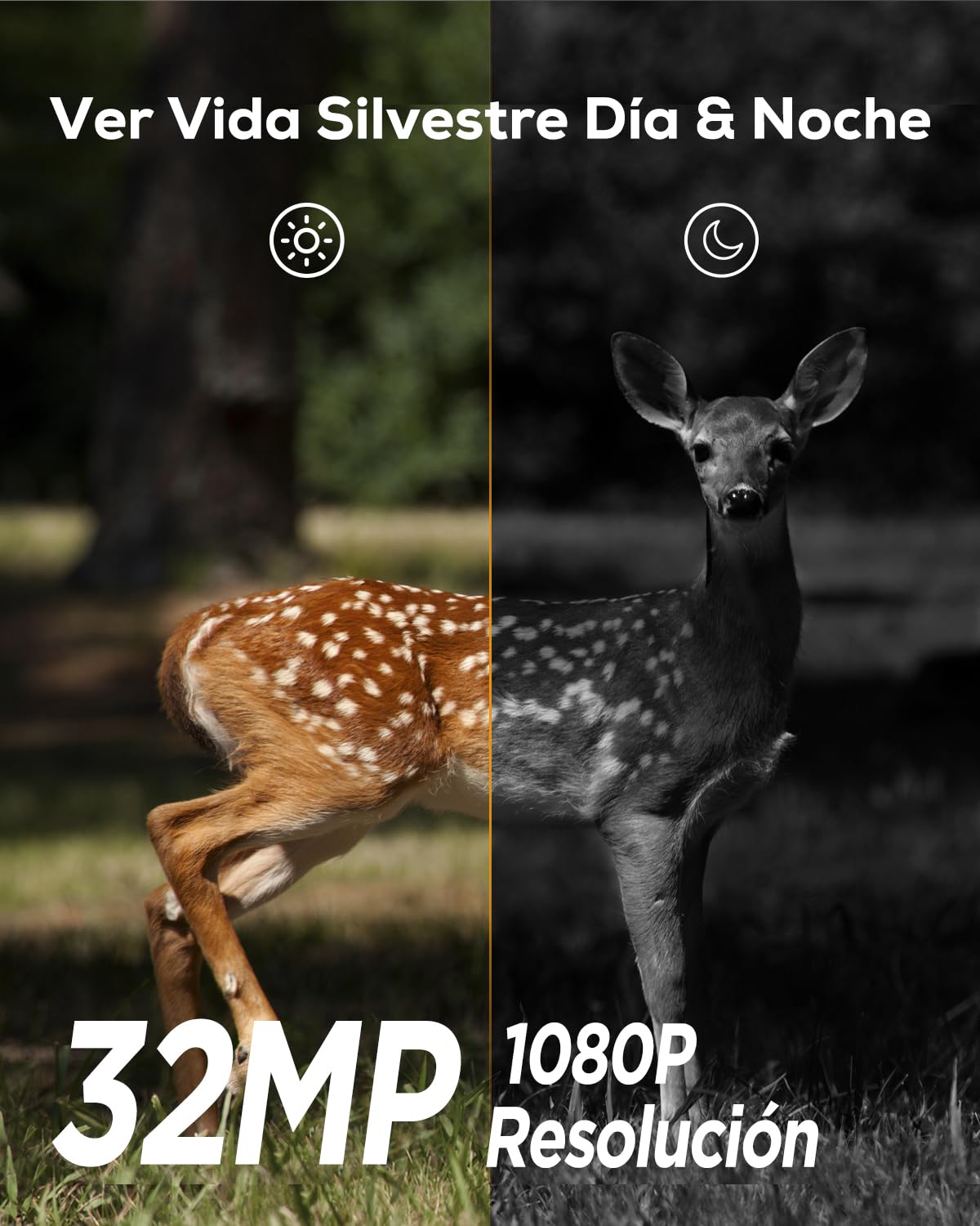 iZEEKER Cámara de Caza 32MP 1080P Visión Nocturna IP66 Impermeable
