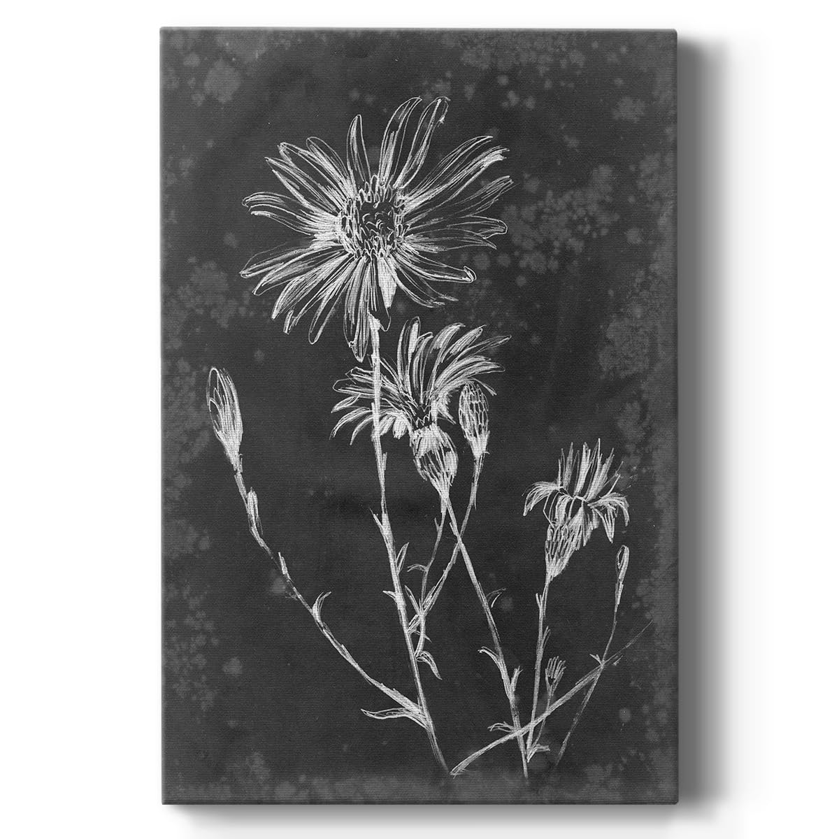 Renditions Gallery Canvas Foliage Wall Art Modern Artwork White Floral Depiction on Slate Abstract Nature Paintings & Prints for Office Hotel Bedroom Decorations - 32"X48" LT534