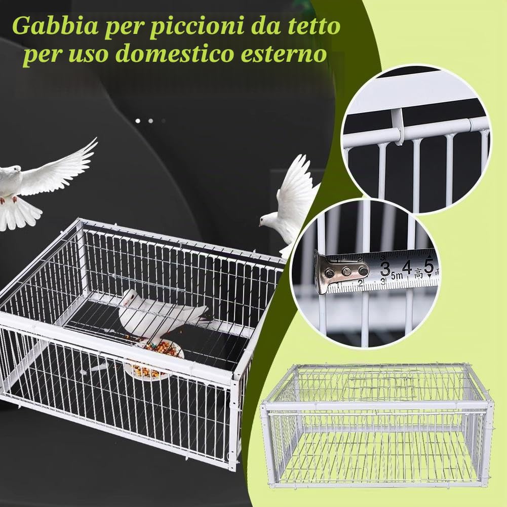 Gabbia per Piccioni a Prova di Fuga, Portatile per Uccelli, Facile da Montare all'Aperto