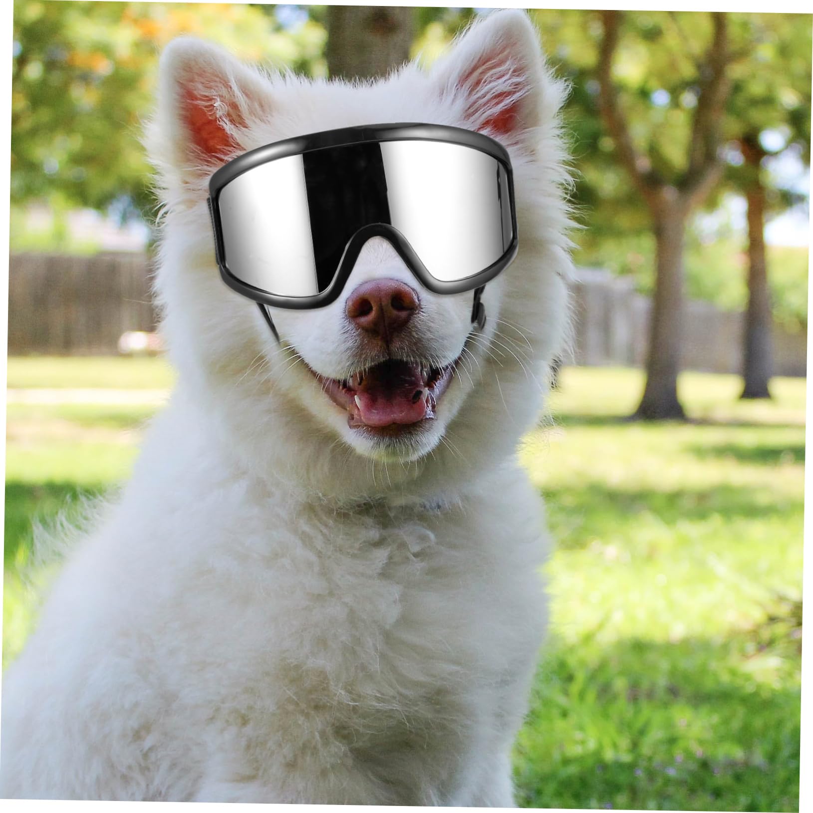 BESPORTBLE Protection Dog Shades Small Breed Goggles Pet ES for Dogs Plastic Pet Glasses