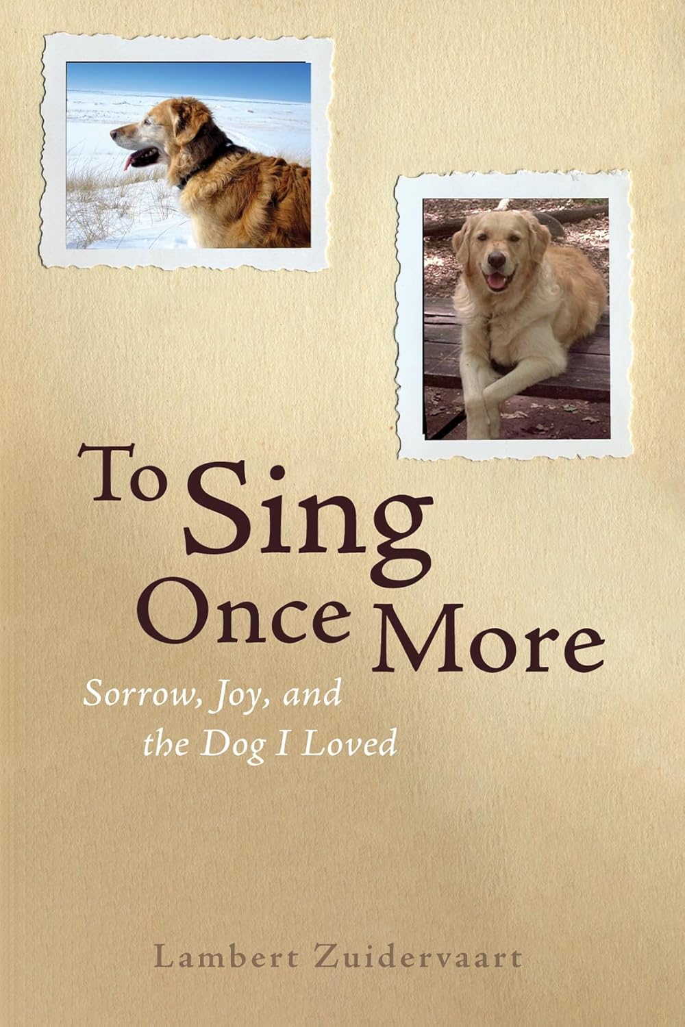 To Sing Once More Zuidervaart, Lambert 9781725285675 Books