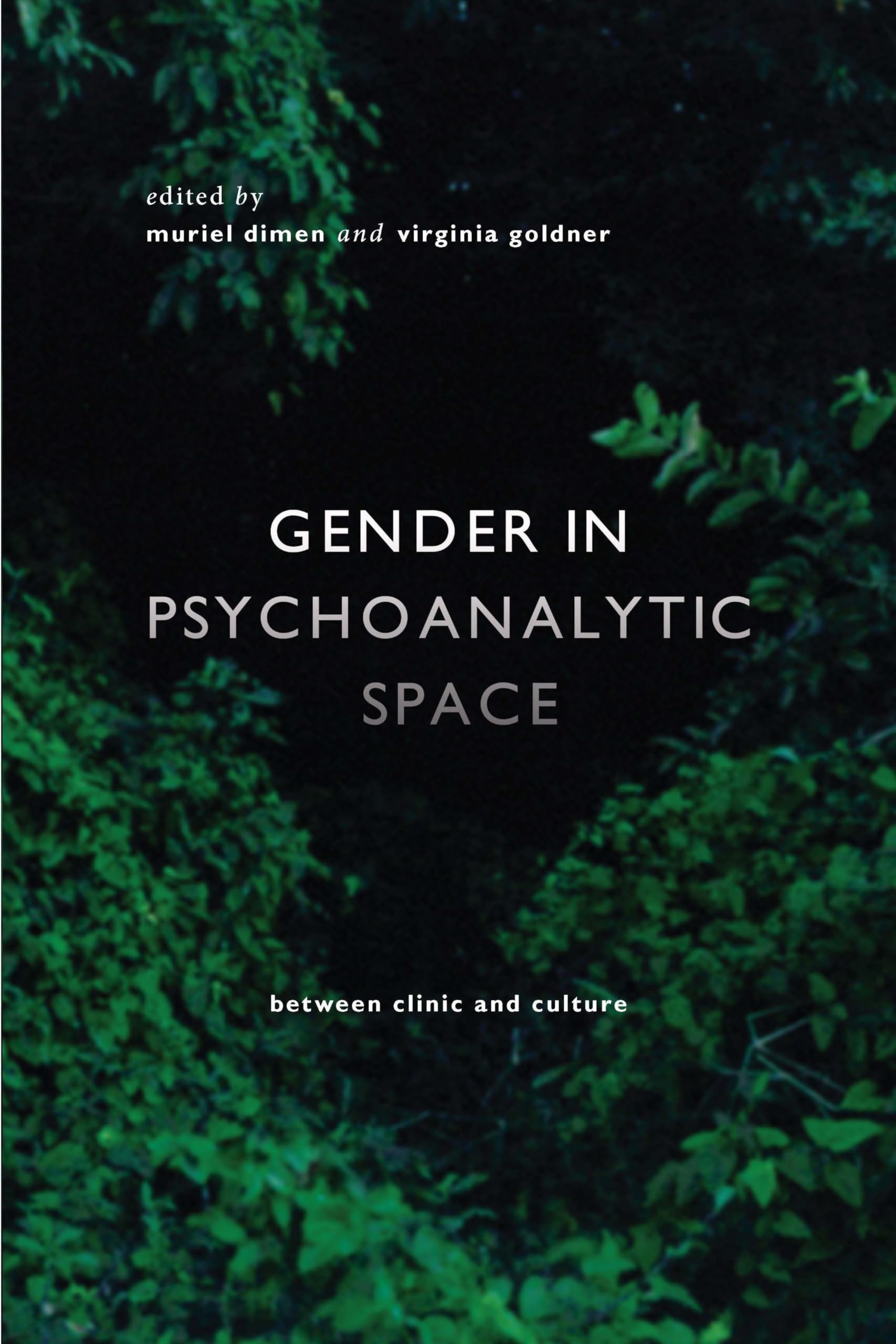 Gender in Psychoanalytic Space: Between clinic and culture (Conteporary Theory Series)