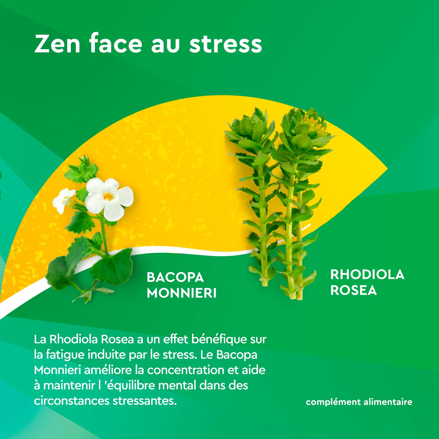 Euphytose Zen 30 comprimés - Lot de 4 boites (4)