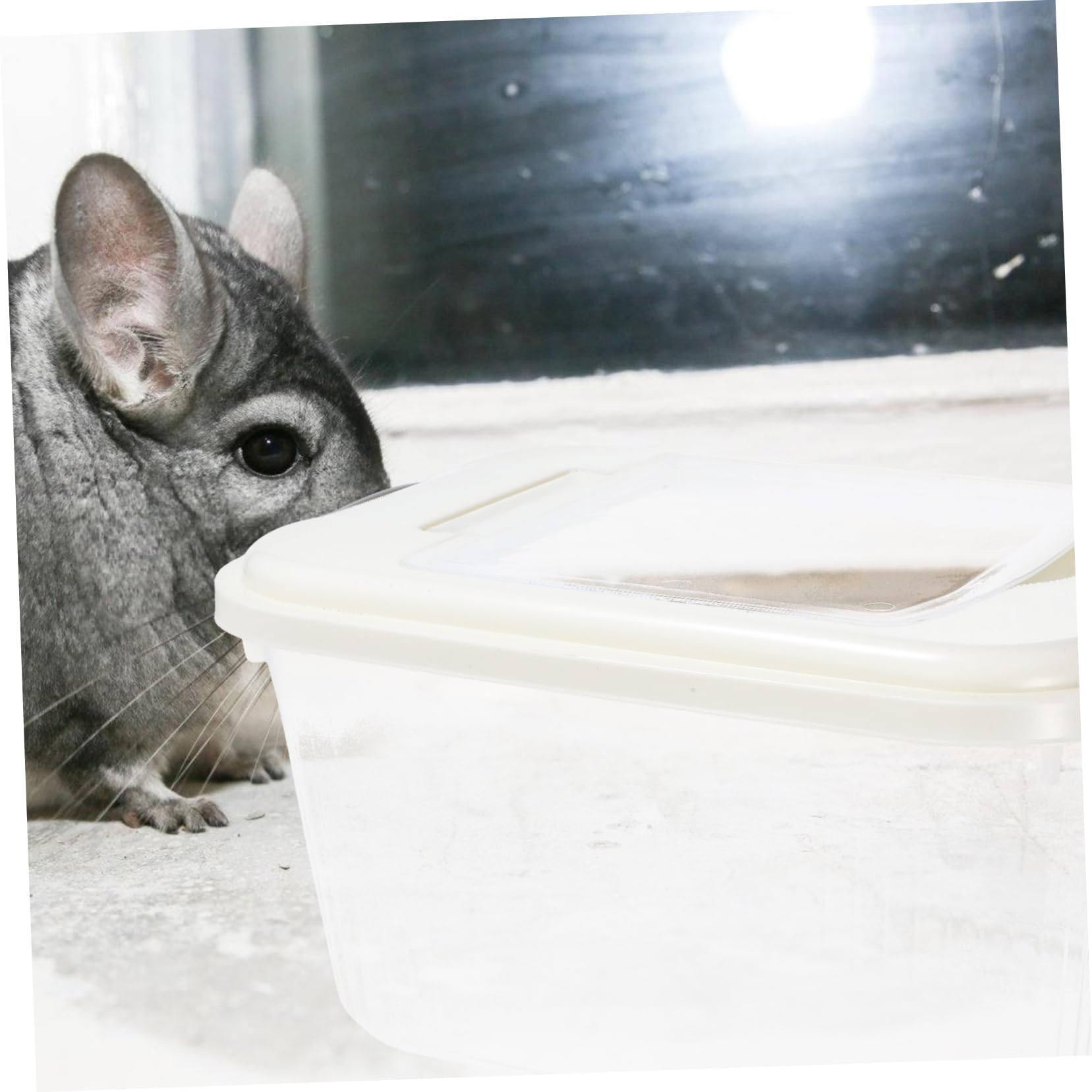 Hamster Sandbad Mit Abdeckung Transparentes Badezimmer Für Kleine Haustiere Für Hamster Chinchillas Und Andere Kleintiere Leicht Zu Beobachten Und Vielseitig Einsetzbar