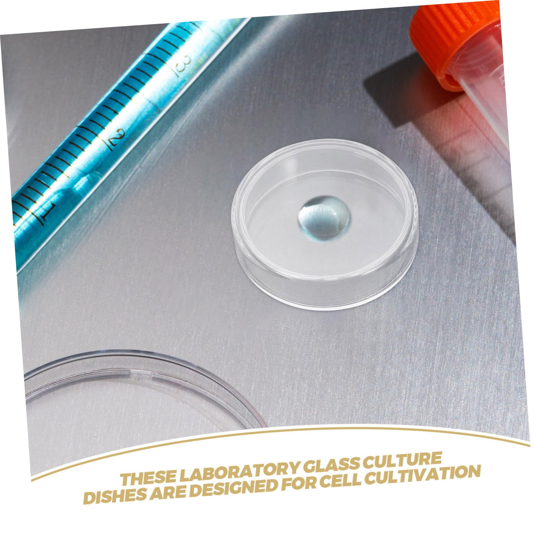 Piastre Petri in Vetro 90mm per Coltura di Cellule con Coperchi Ventilati Trasparenza Set da 10 per Addestramento e Feste a Tema