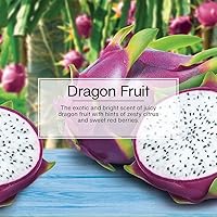 Vista 128 de Little Trees - Ambientador de árbol colgante que proporciona un aroma de larga duración para tu hogar o tu auto. Aroma Summer Linen, 24