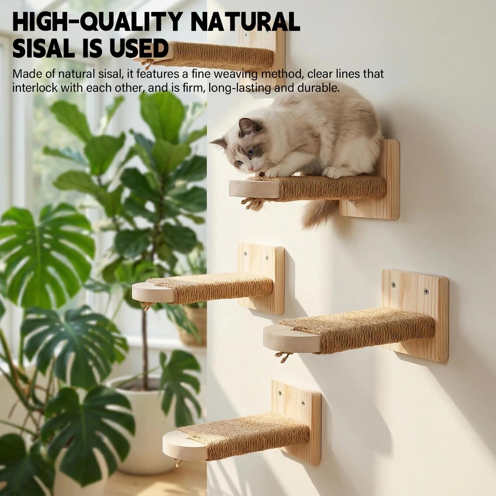 4 Stück Katzentreppe Wand: Holz Katzen Kletterwand aus Massives Gummiholz, Katzenleiter Set, Katzenwandstufen für Kletterspaß und entspannte Ruheplätze zu Hause, Stabile Wandliege bis 20 kg