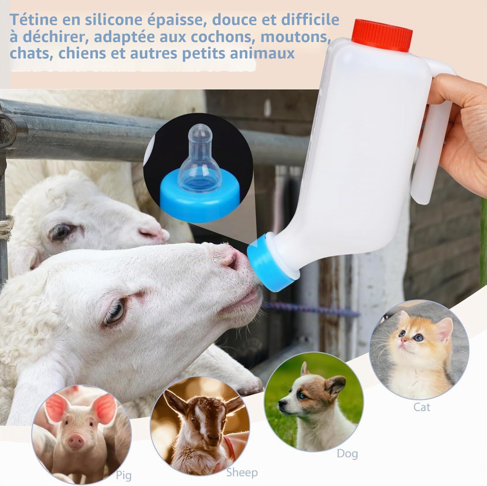 6 Pack Biberon Agneau, Biberon Chevreaux Allaitement pour Agneaux & Bébé Chèvre - Seau à Lait en Bouteille d'agneau, Bouteille de Chèvre, Bouteille de Boisson Suspendue
