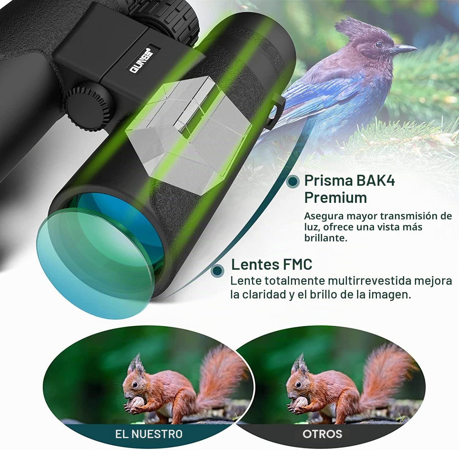 Prismáticos 12x42 con Adaptador Móvil para Adultos y Animales | Prisma BAK4 y FMC para una Visión Clara y Nítida en Aves, Viajes y Teatro