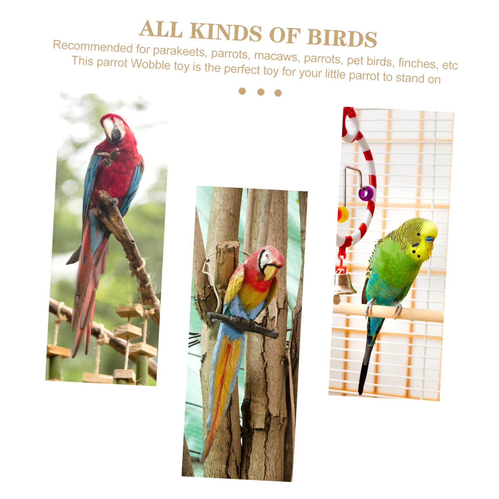 minkissy 5 piezas de juguete de búsqueda de loro, perca de pollito, columpio de loro con taza de comida, juguete de mordida de loro, juguetes de pájaros para cacatúas, perchas, juguete de loro,