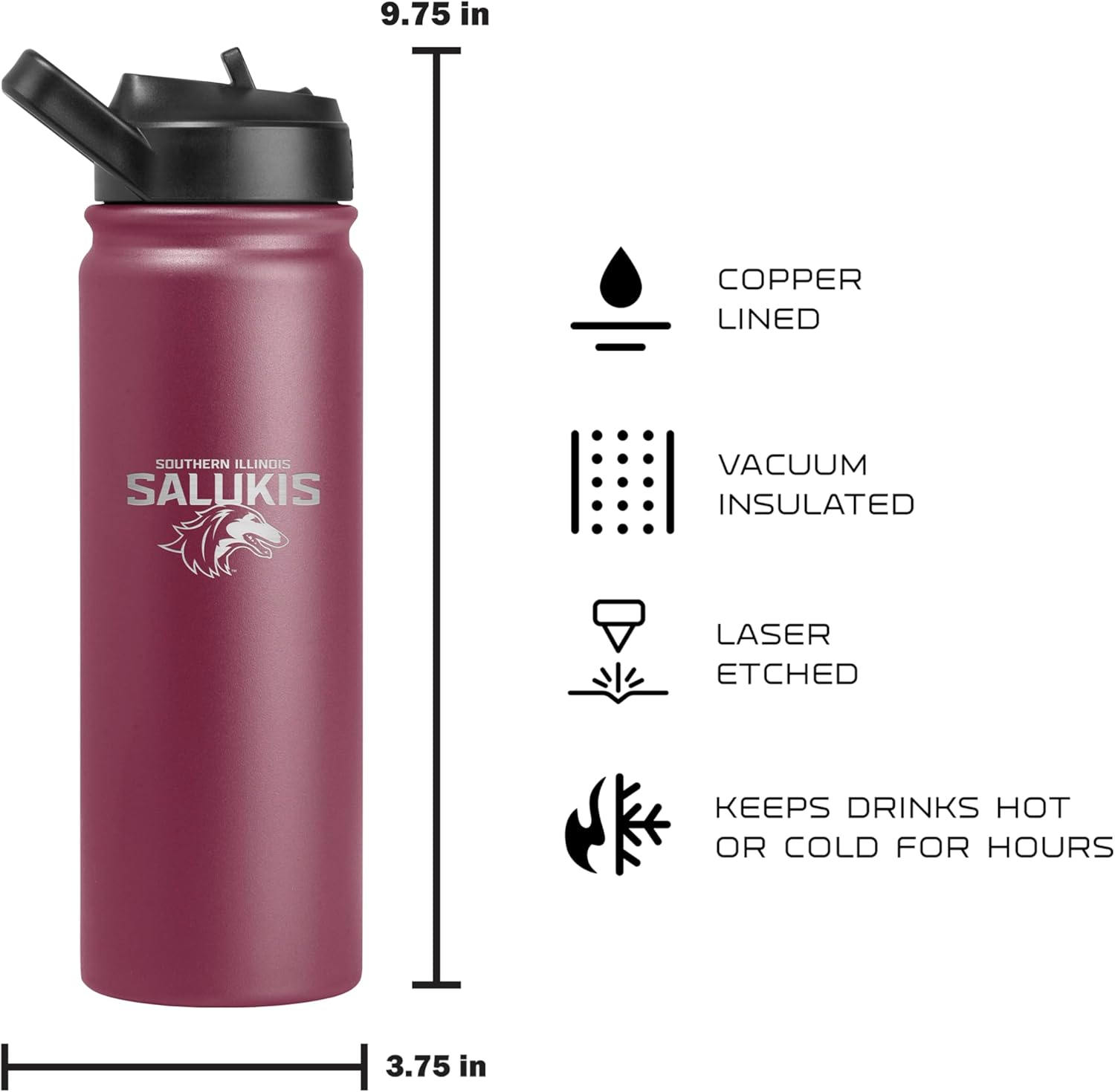 FANMATS NCAA South Carolina 24 oz Stainless Steel Water Bottle 2 Pack — Team Color & White | Easy to Carry Lid