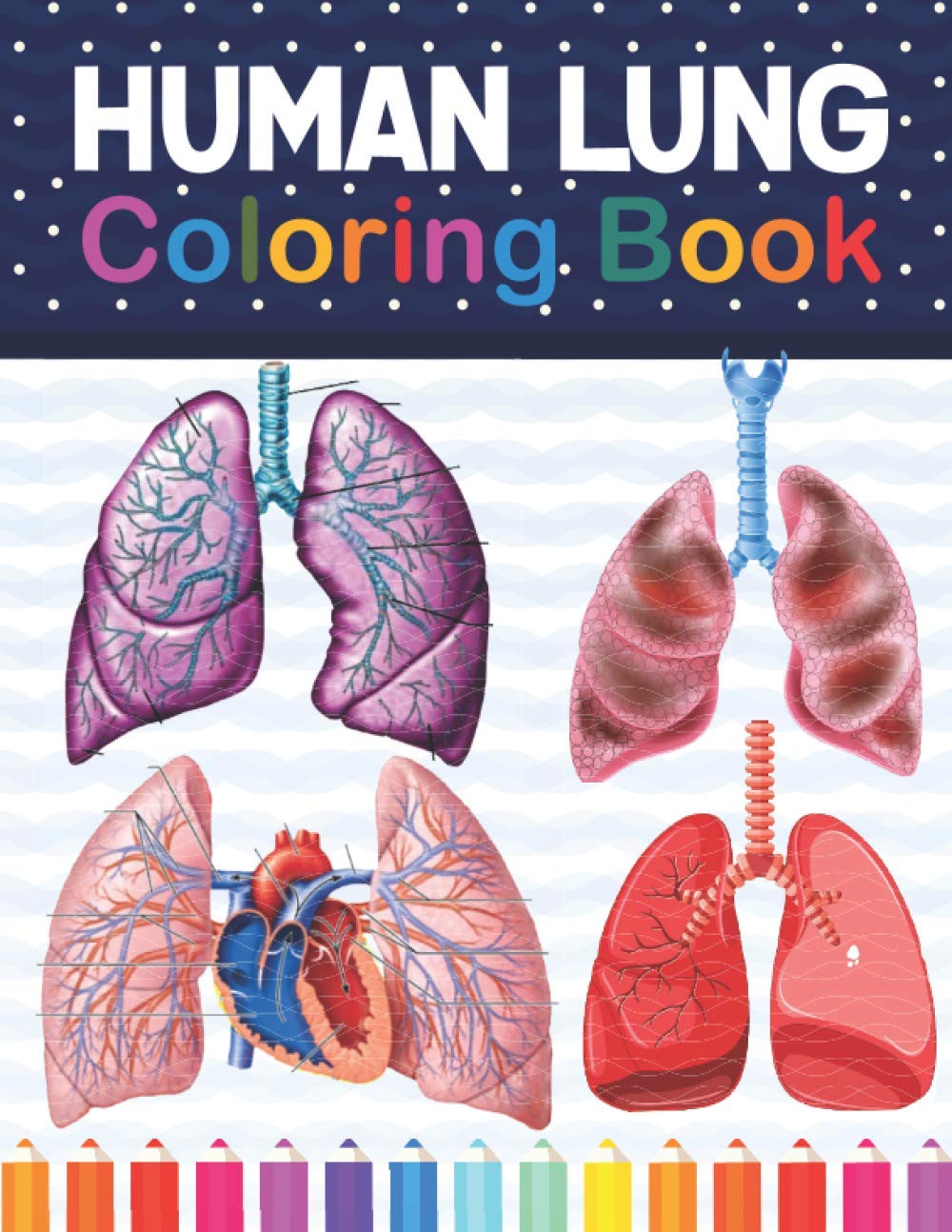 Human Lung Coloring Book: Human Lung Anatomy self test guide for Anatomy Students. Lung Art & Anatomy Workbook for Kids & Adults. Perfect Gift for ... Coloring Workbook For Anatomy Students.