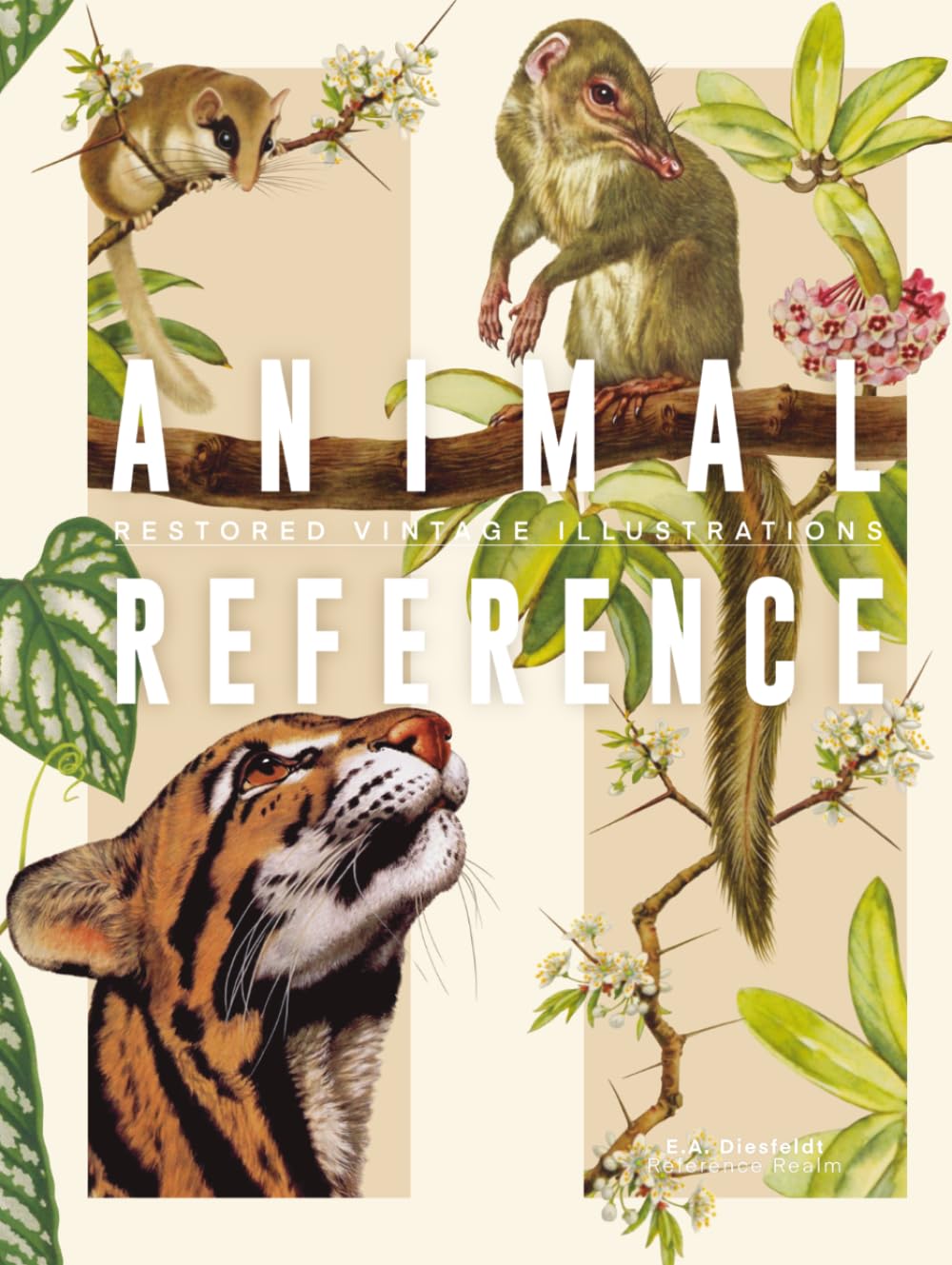 Animal Reference Book: Mammalian Species, Restored Vintage Illustrations for Artists and Designers (Reference Realm)
