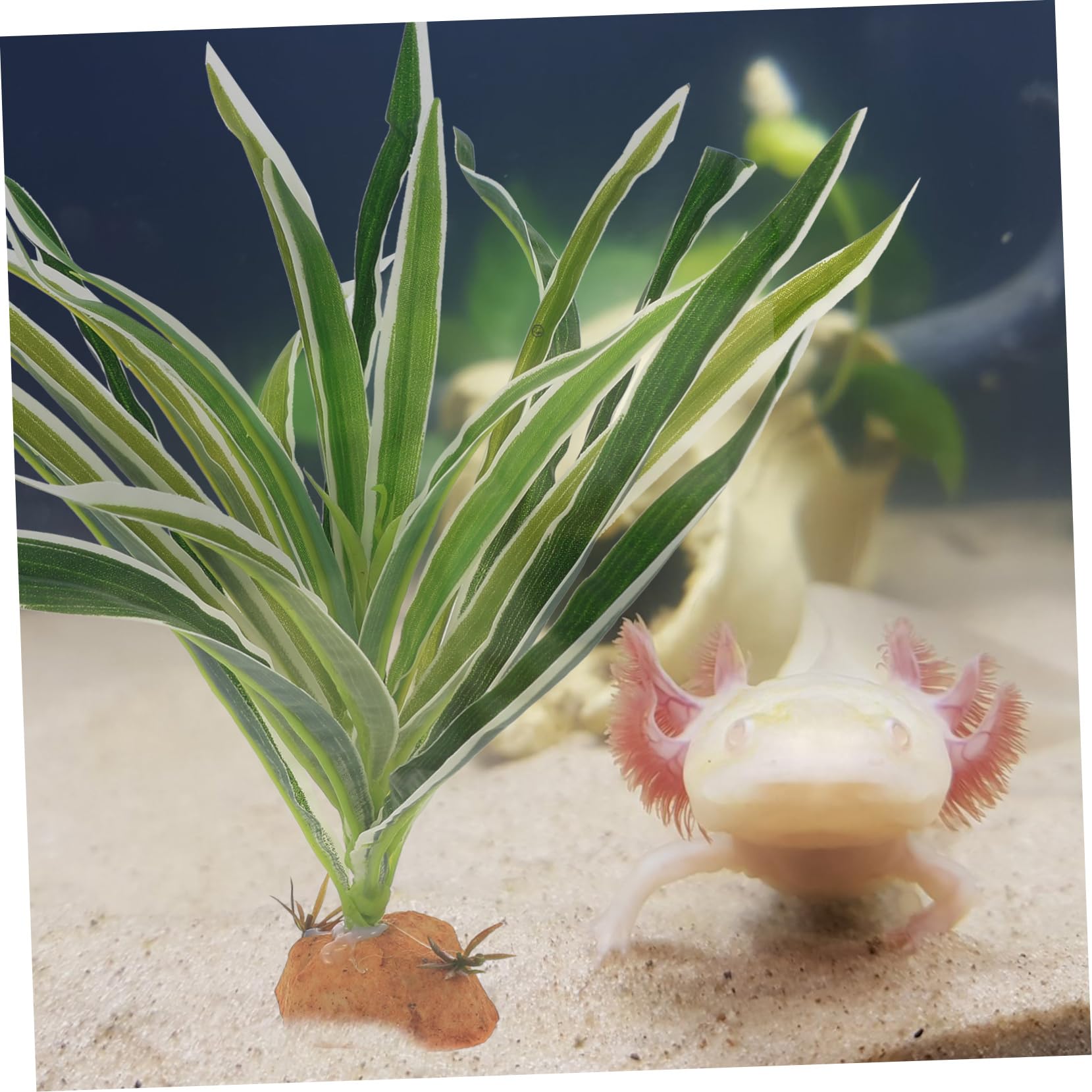 minkissy 5stücke Künstliche Pflanzen Für Reptilien-terrarien Lebensnahe Terrarien-Dekoration Aus Sicherem Material Für Eidechsen Krabben Und Aquarien Für Lebendige Aquarien Und