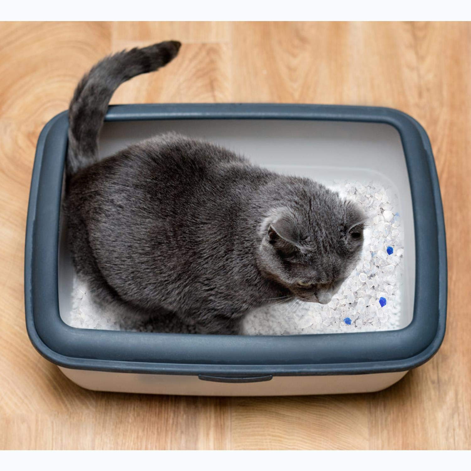 Nobleza - 30.4L Arena para Gatos de sílice Camada para Gatitos de Gel de Diamante Absorbente, Cómodo Biodegradable