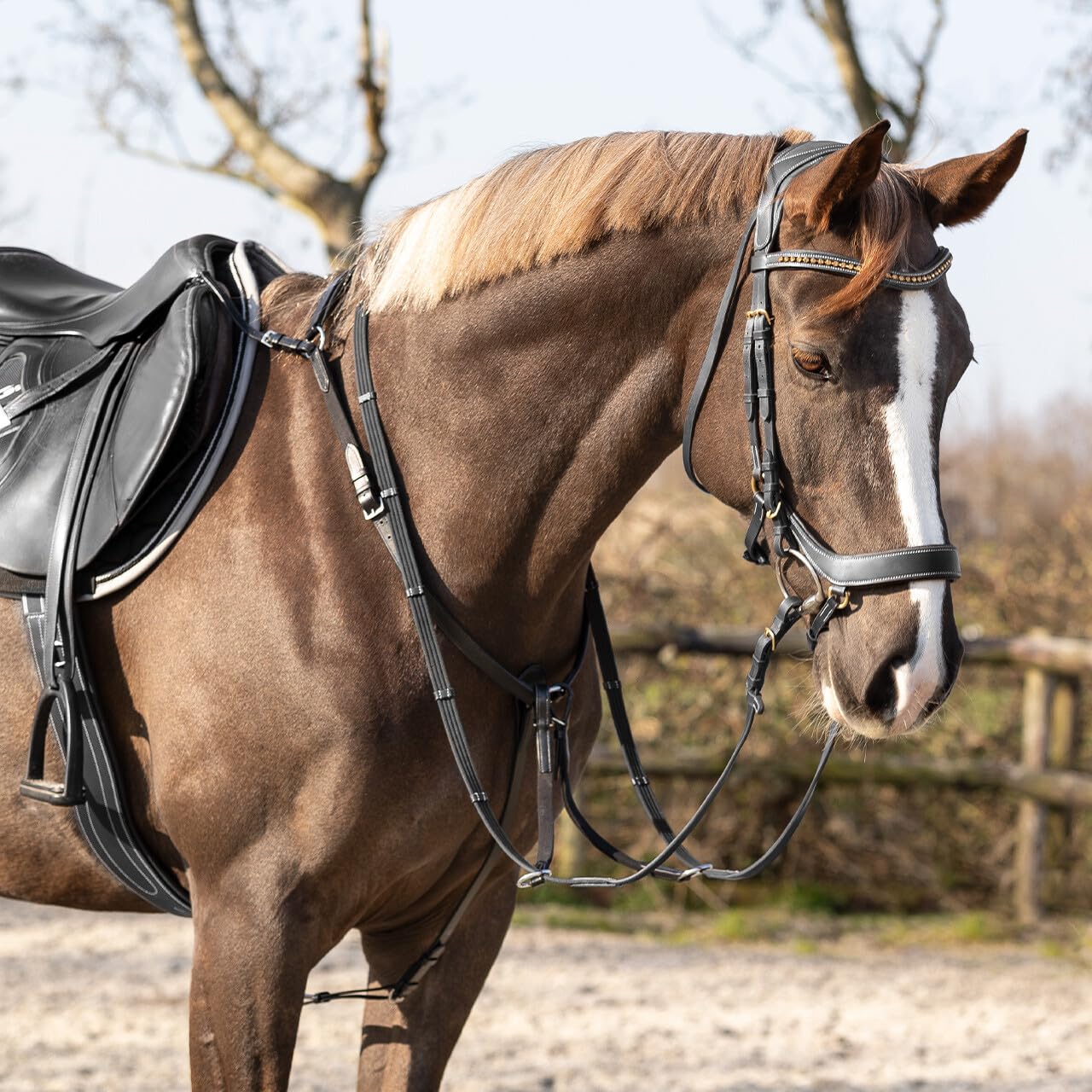 NETPROSHOP Leder Vorderzeug Basic Pro mit Abnehmbarer Martingalgabel Pony Cob Full, Groesse:Full, Farbe:Schwarz
