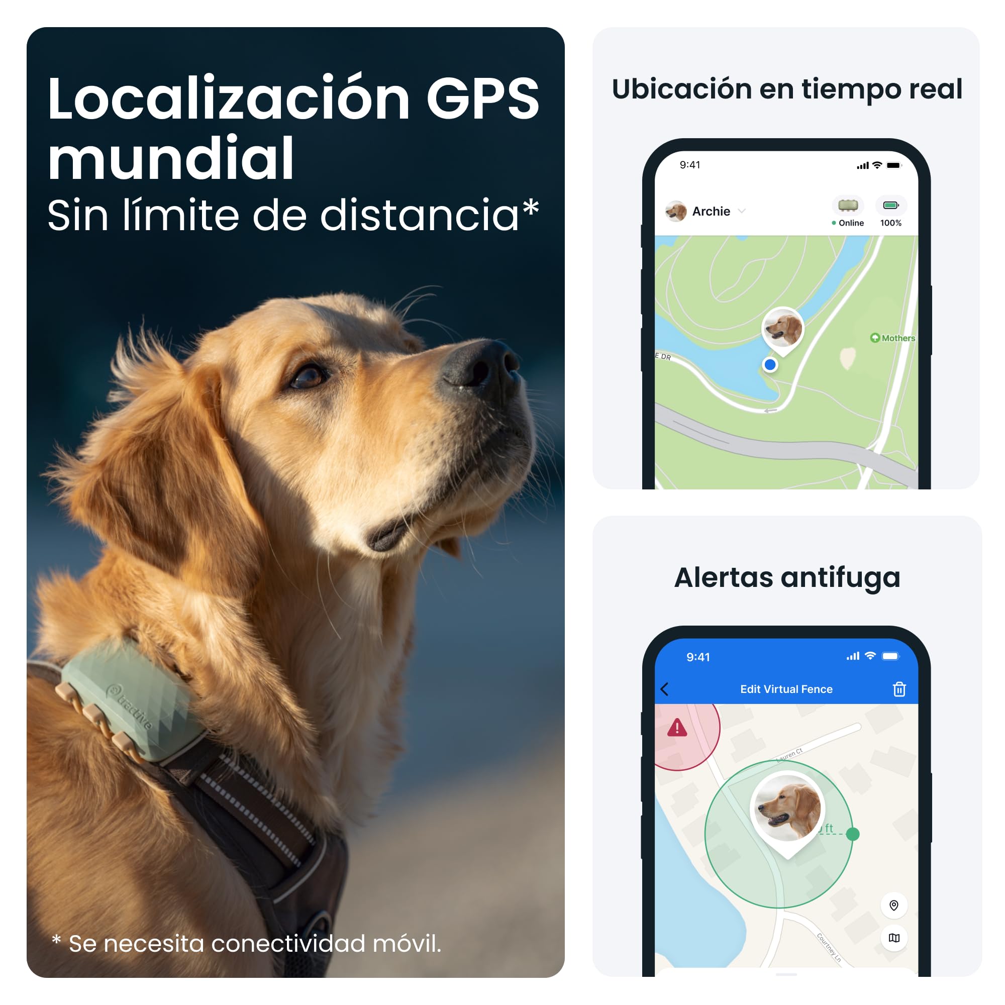 Tractive GPS perros XL | Hasta 1 mes de autonomía | Líder de mercado | Localización en tiempo real en todo el mundo | Alertas antifuga | Monitor de actividad con avisos de salud