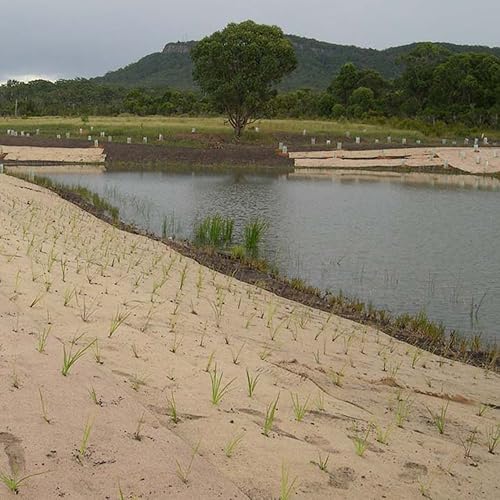 Miniatura 5 de Estacas biodegradables de 4 pulgadas de grado contratista, grapas de césped para asegurar tela de malezas, tela de paisaje, red y manta, 100 unidades