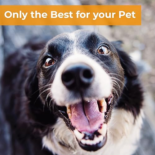 Miniatura 5 de bowsers Artisan Diner doble perro alimentador, XS, Bambú