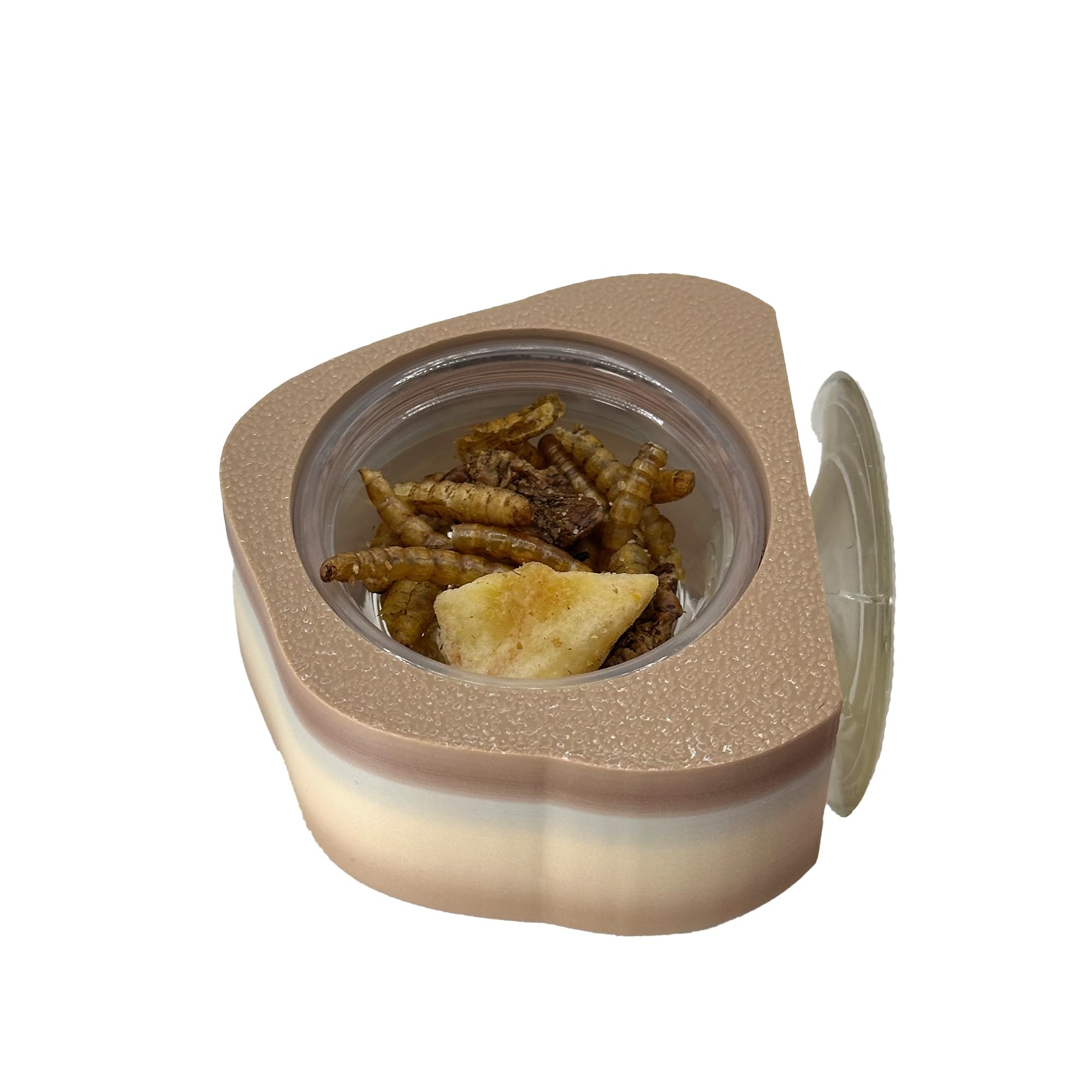 CTWPetsReptile Rock Feeding Ledge with 0.5oz Cup Holder, 10 Cups Included (Rock)