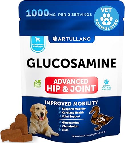 Glucosamine for Dogs Joint Pain Relief - Hemp Hip and