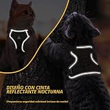 Ver la foto 6