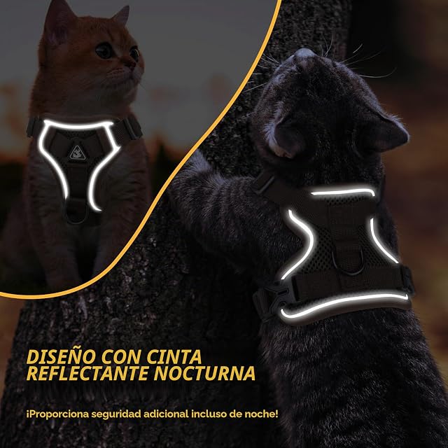 Foto 6 de 7 de GlasFlength Arnés para Gatos con Correa, a Prueba de roturas, Correa para Gatos con arnés Ajustable para Gatos