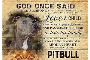 Pitbull Hotel Room: A Godly Creation