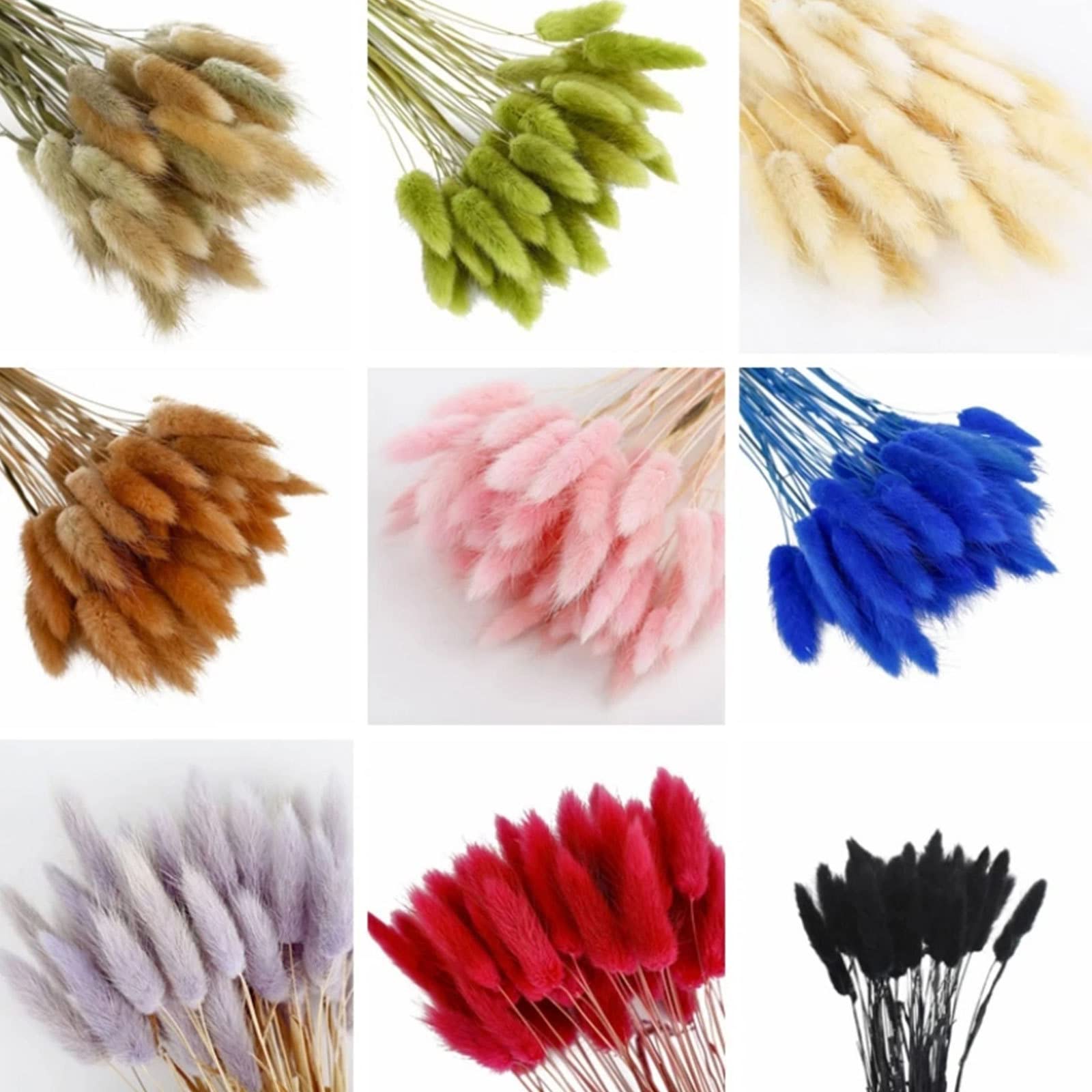 120 tiges d'herbe de Queue de Lapin séchée Naturelle Herbe de Pampa séchée Naturelle de 22 pouces/60 cm Lagurus Ovatus pour la décoration bohème,Purple