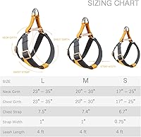 Vista 18 de No Pull Dog Harness and Leash Set, Step in Dog Halter Harness with Poop Bag Holder, Adjustable Lightweight Cotton Straps Suitable for Small Medium