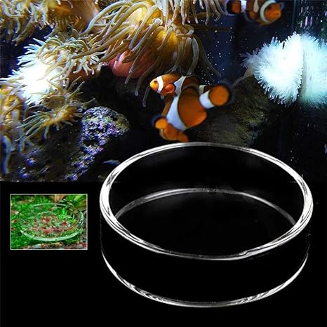 Amazon Co Jp 魚自動給餌器 どちらも新鮮で ソルトウォーターのための明確な水族館の水槽のガラスのエビ餌食品料理フィーダートレイ魚フィーダー 休日 週末の餌やり 出張 旅行 急用などの留守中の餌やり Color Clear Size 8cm ペット用品