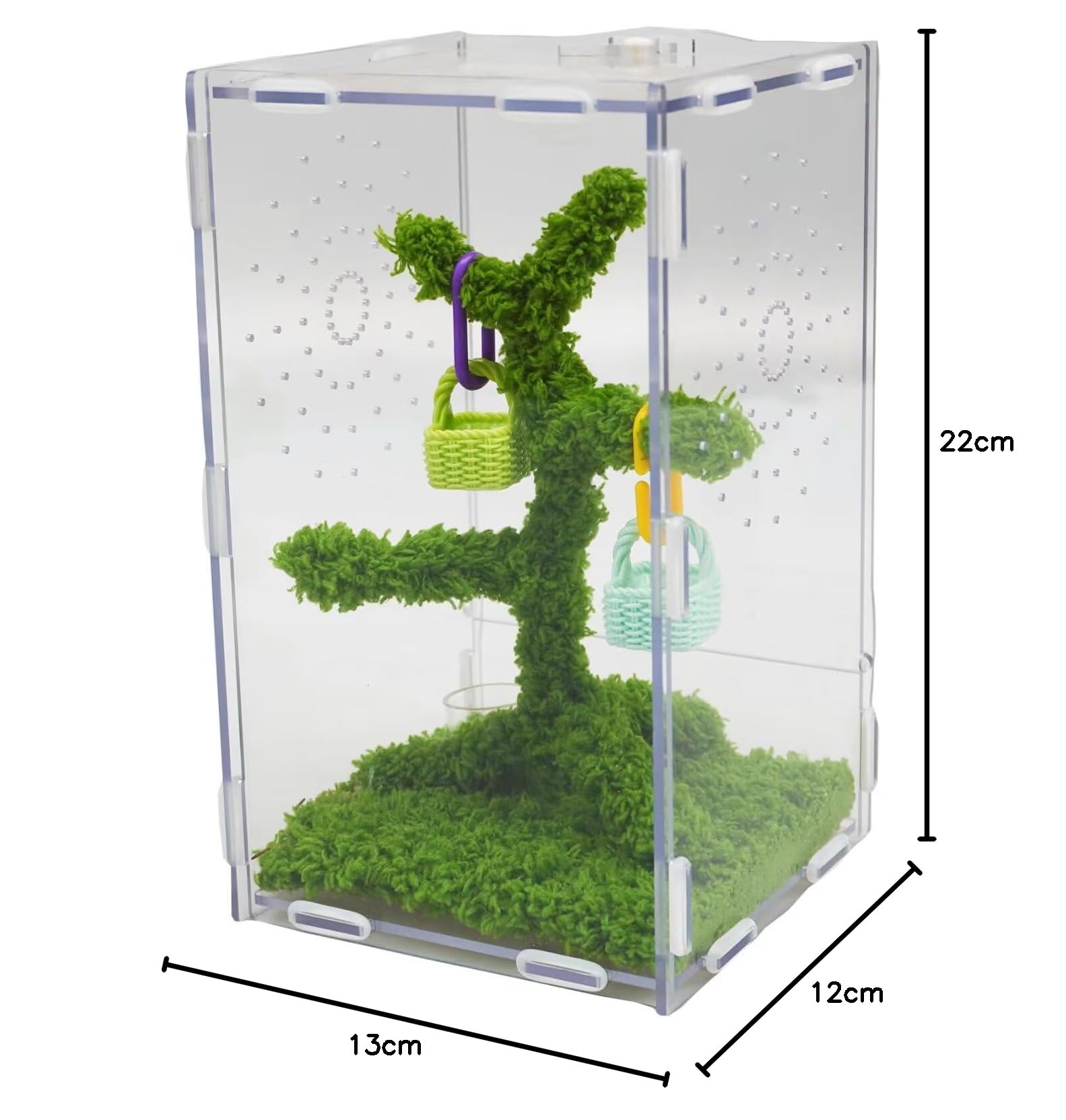 Jinymral Jumping Spider Enclosure with Jumping Spider Accessories – Acrylic Ventilation Terrarium Kit, Includes Feeding Tongs, Natural Decor, Habitat for Pet Spiders, Reptiles & Arboreal Pets — view 6