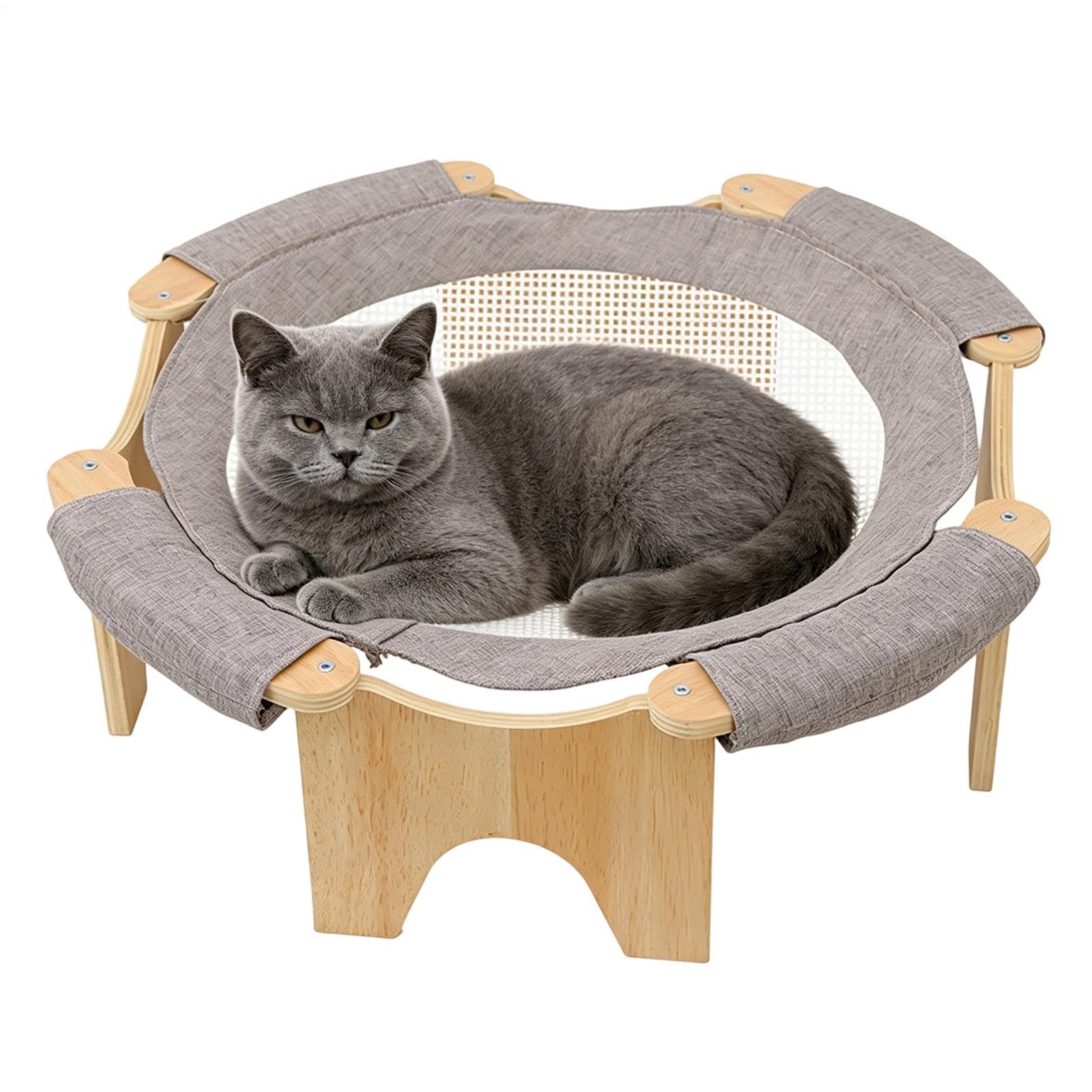 Cama elevada de gatos contra el calor del suelo para cachorros y gatitos