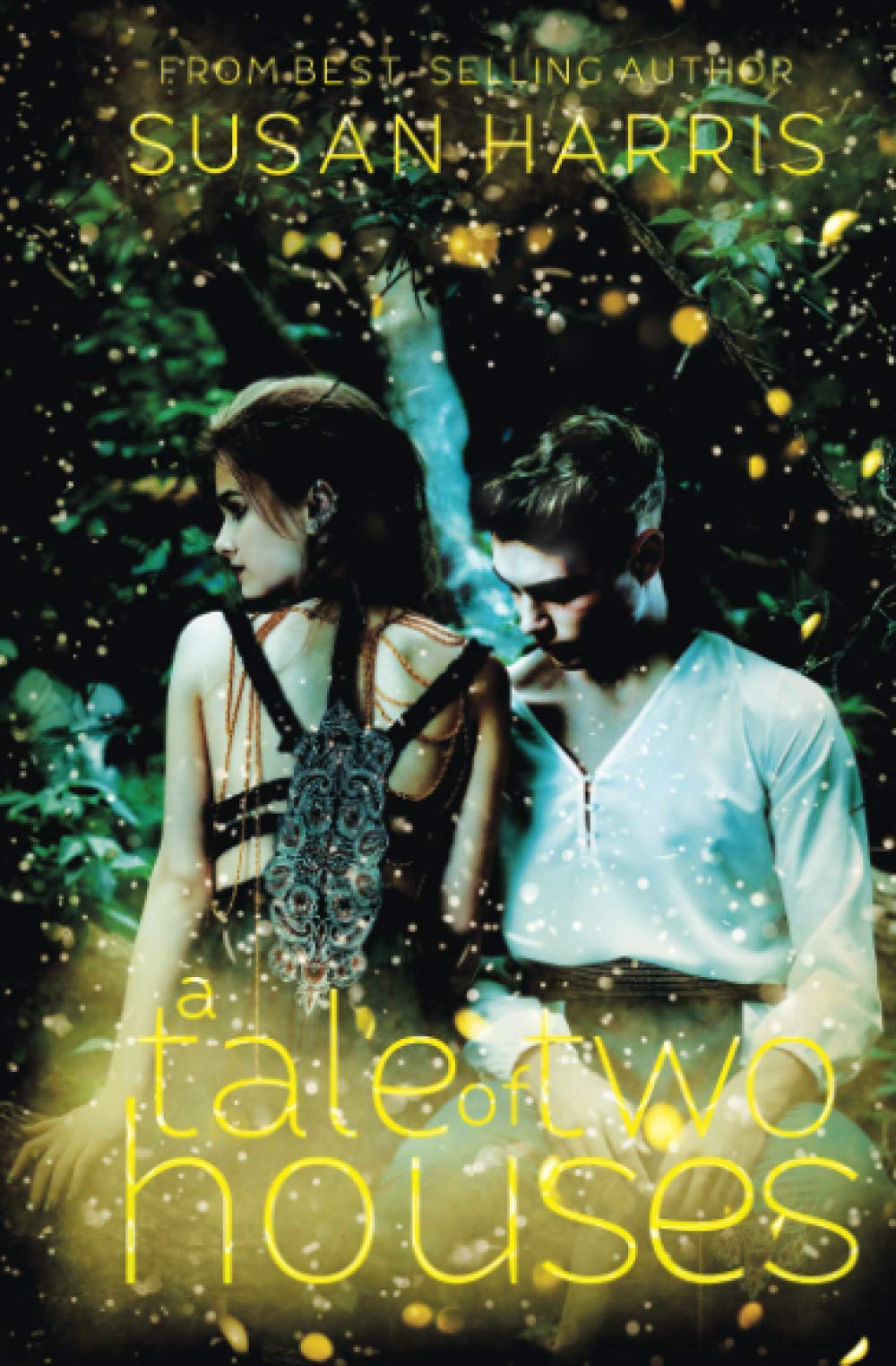 Buy A Tale of Two Houses — BookShops.in