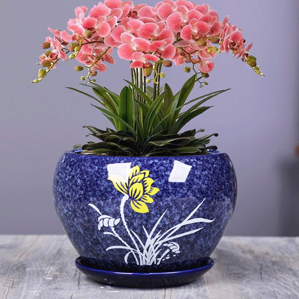 Pot de fleurs rond en céramique pour décorer votre salon