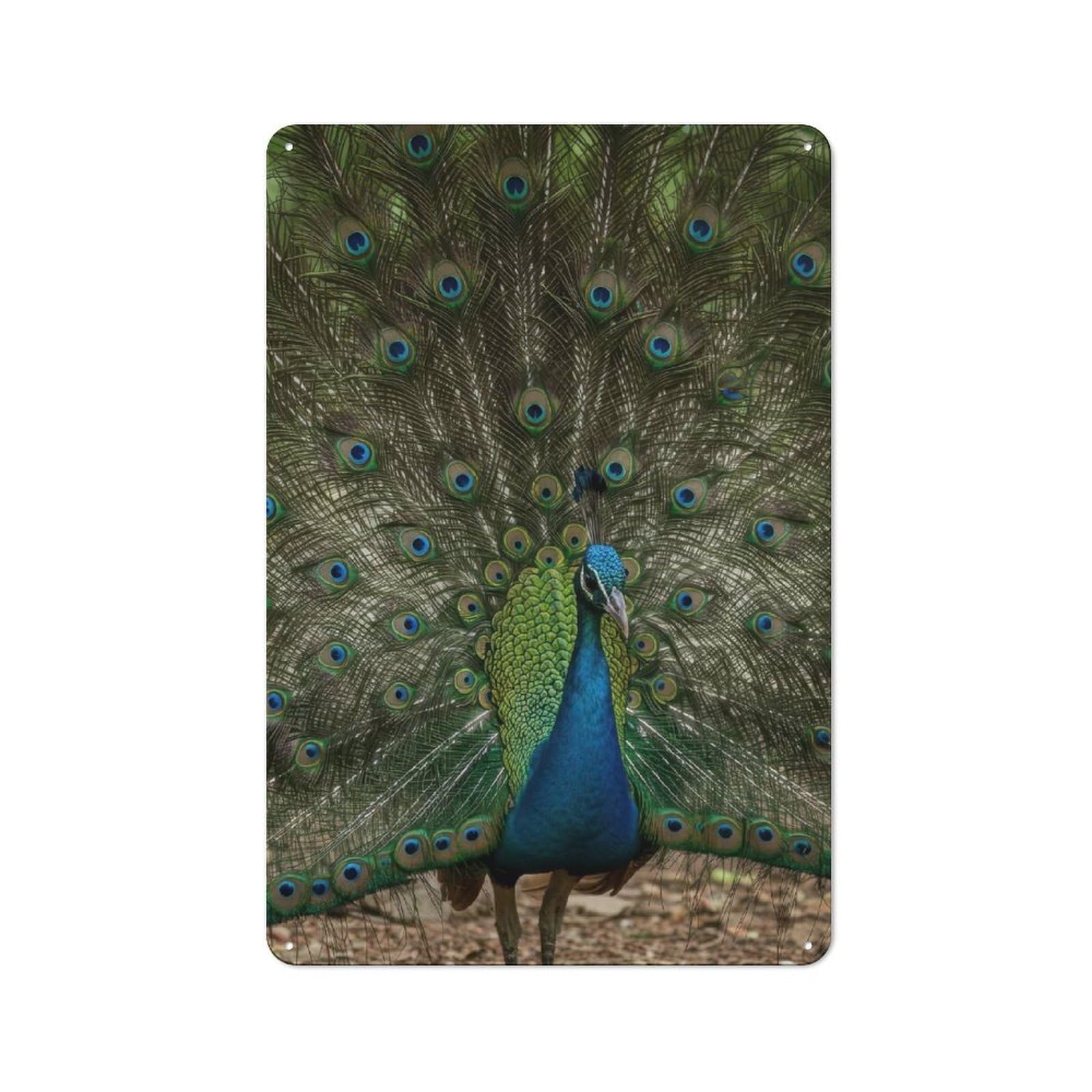 Junmoney Style-21 Peacock Displaying Feathers Retro Metal Wall Sign 30X20cm For Living Room Or Hallway, For Collectors Decorating Living Rooms And Hallways