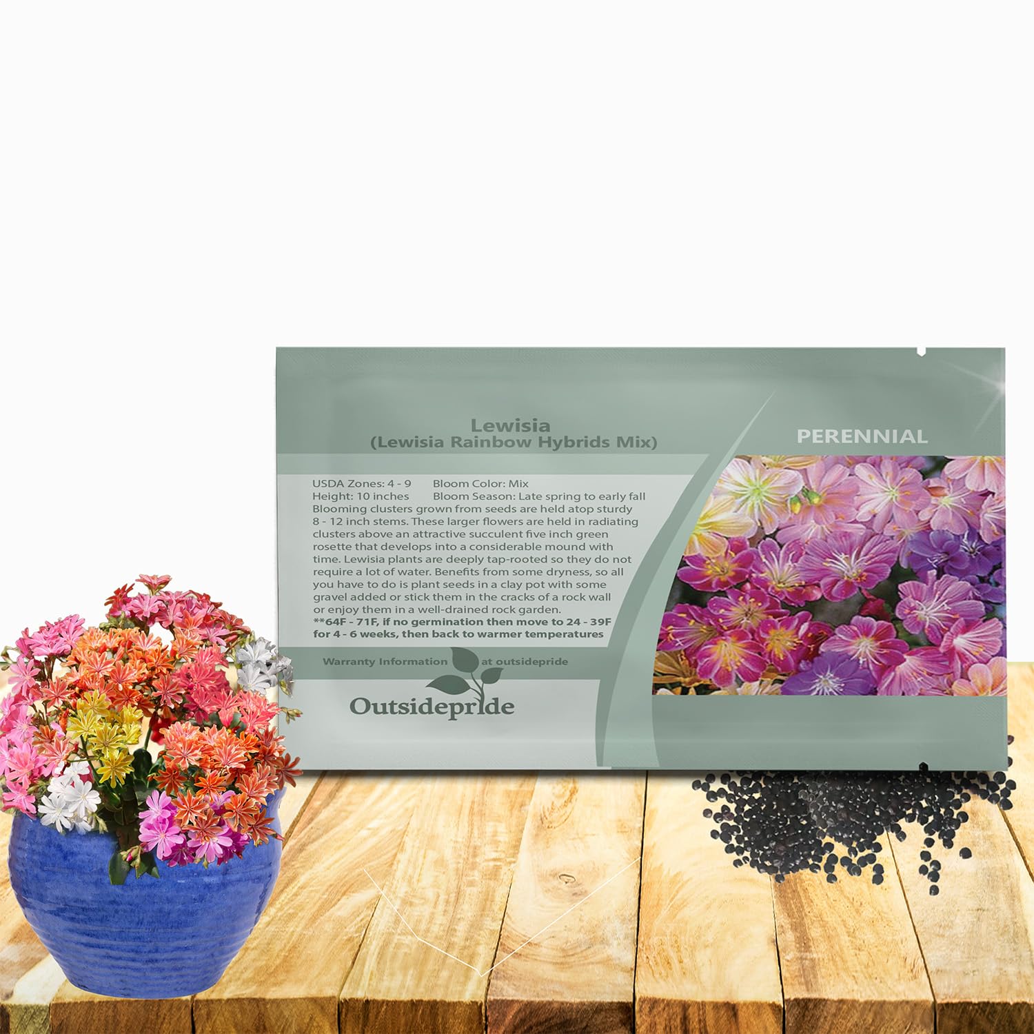 Outsidepride Rainbow Mix Lewisia Flower Seeds for Planting - 100 Pcs Drought-Tolerant Perennial Flower Seeds with Attractive Flowers & Rosette Green